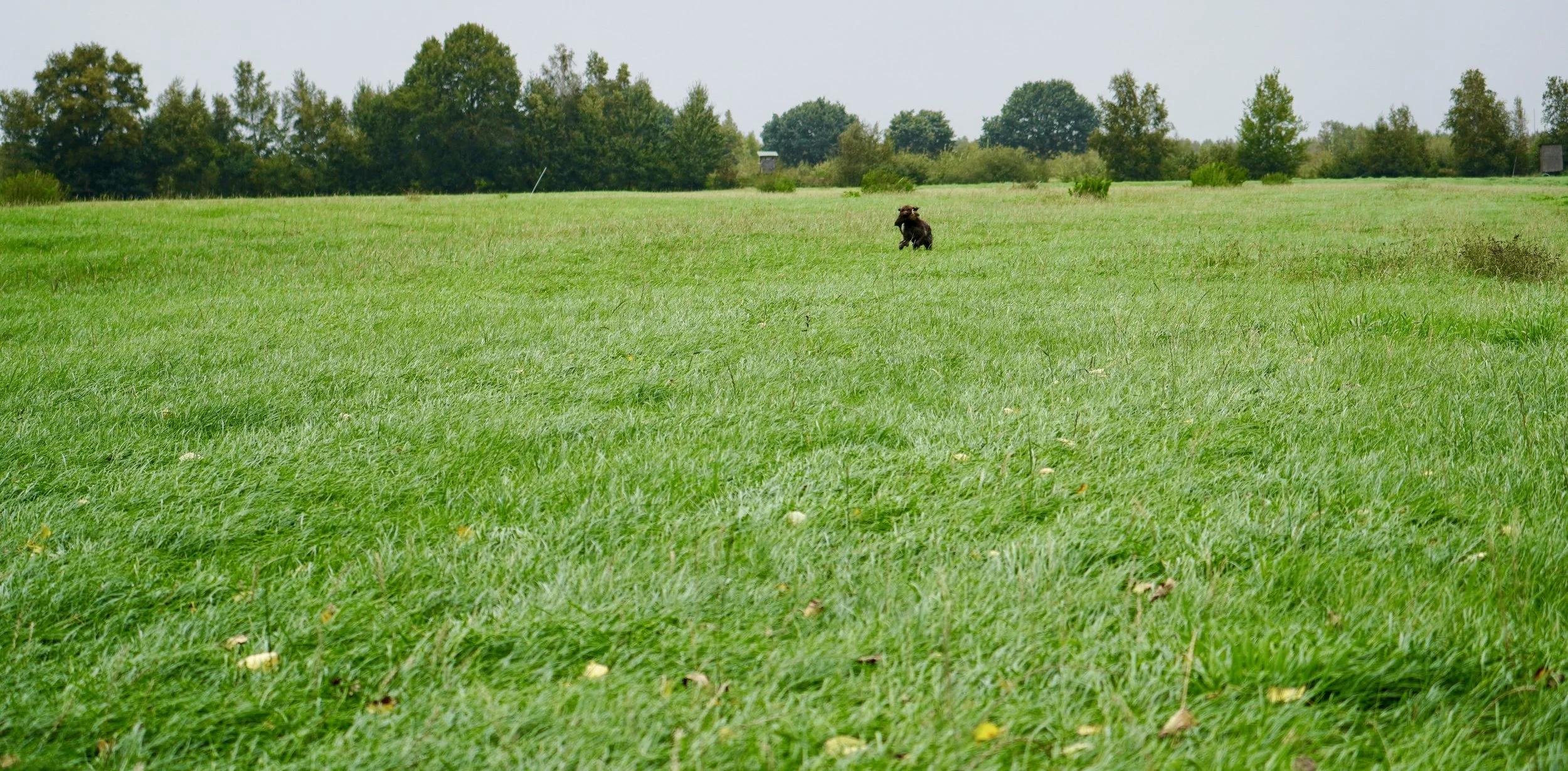 DSC01321.JPG