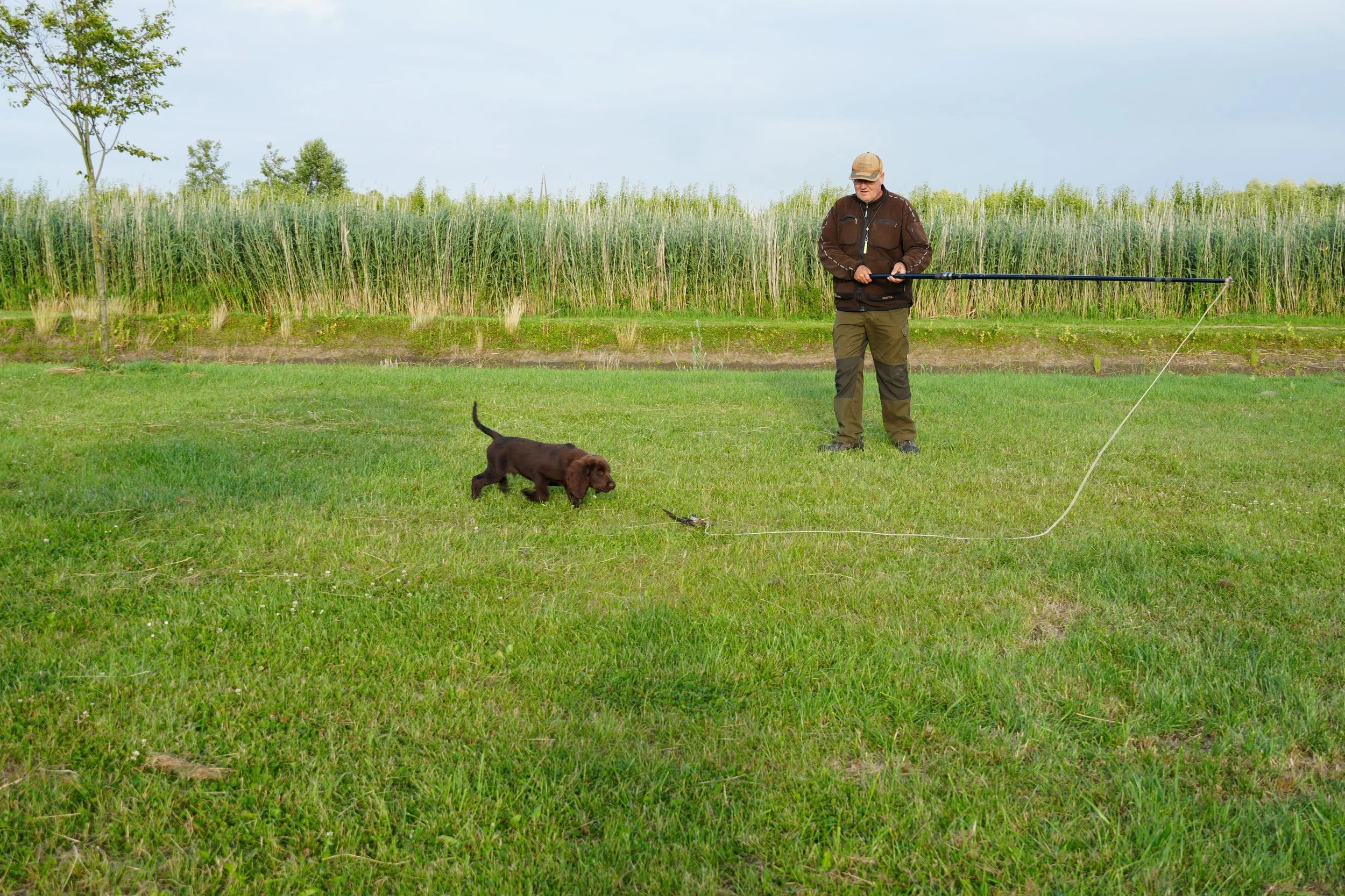 DSC08982.JPG