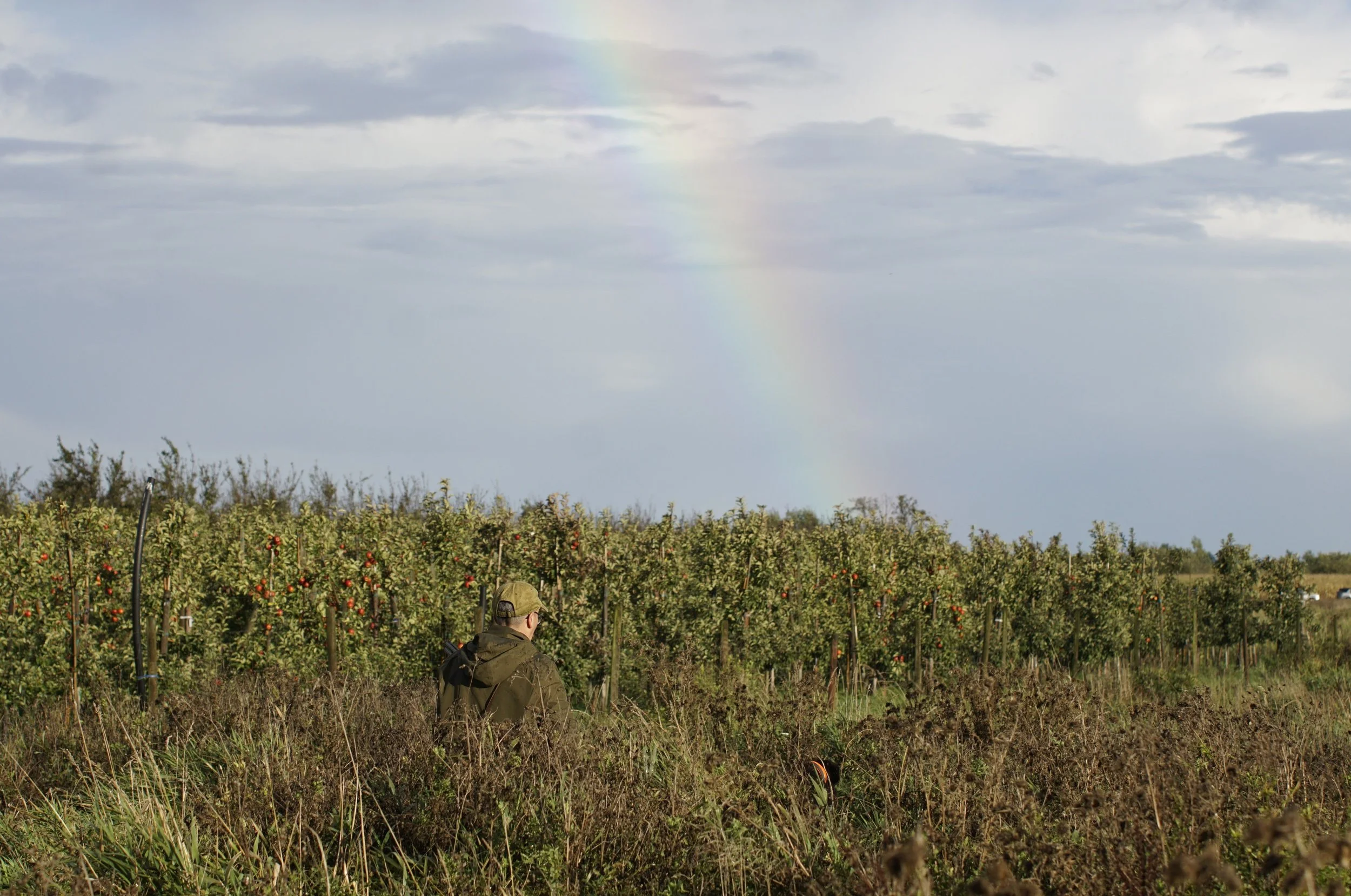 _DSC3576.JPG