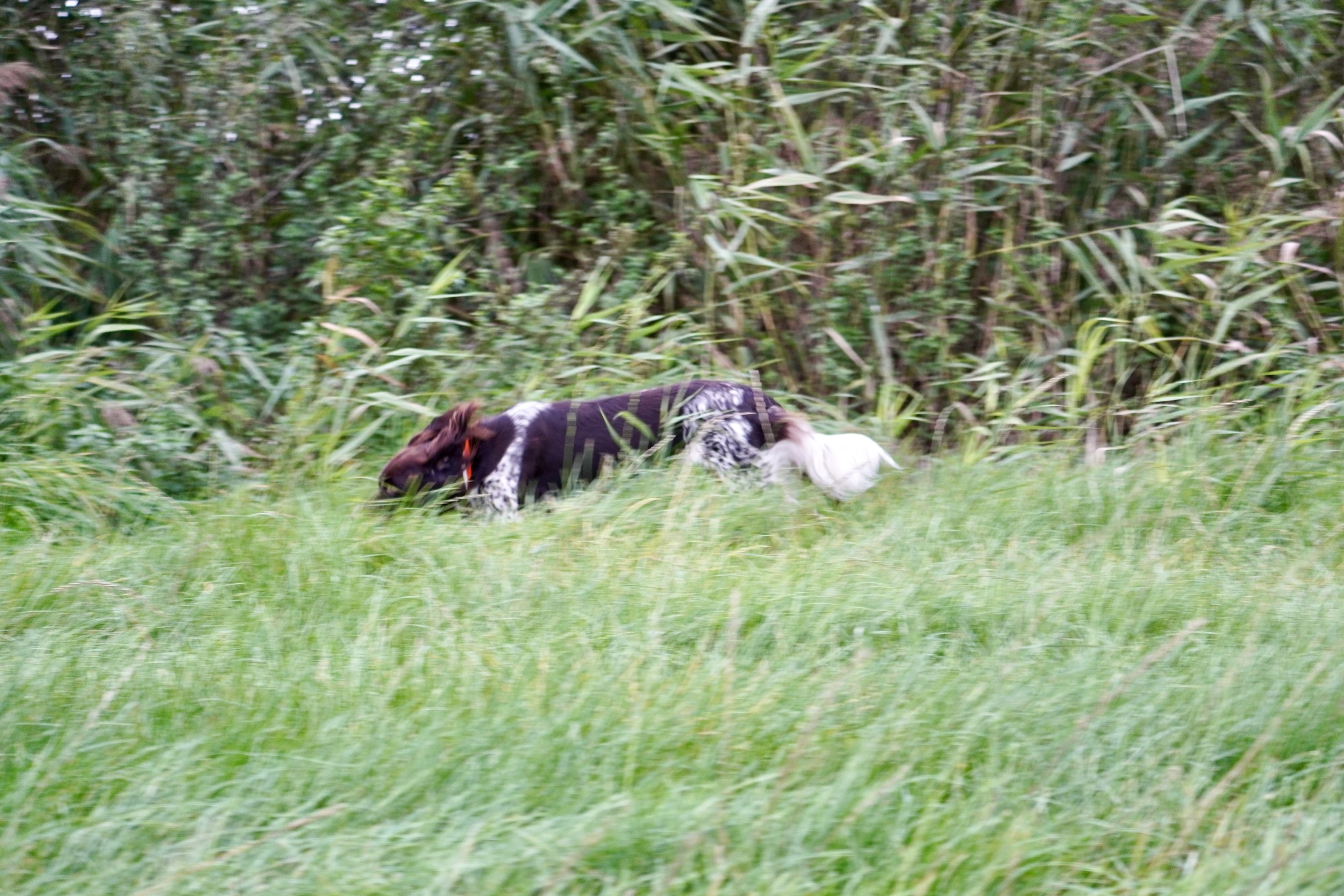 DSC01071.JPG