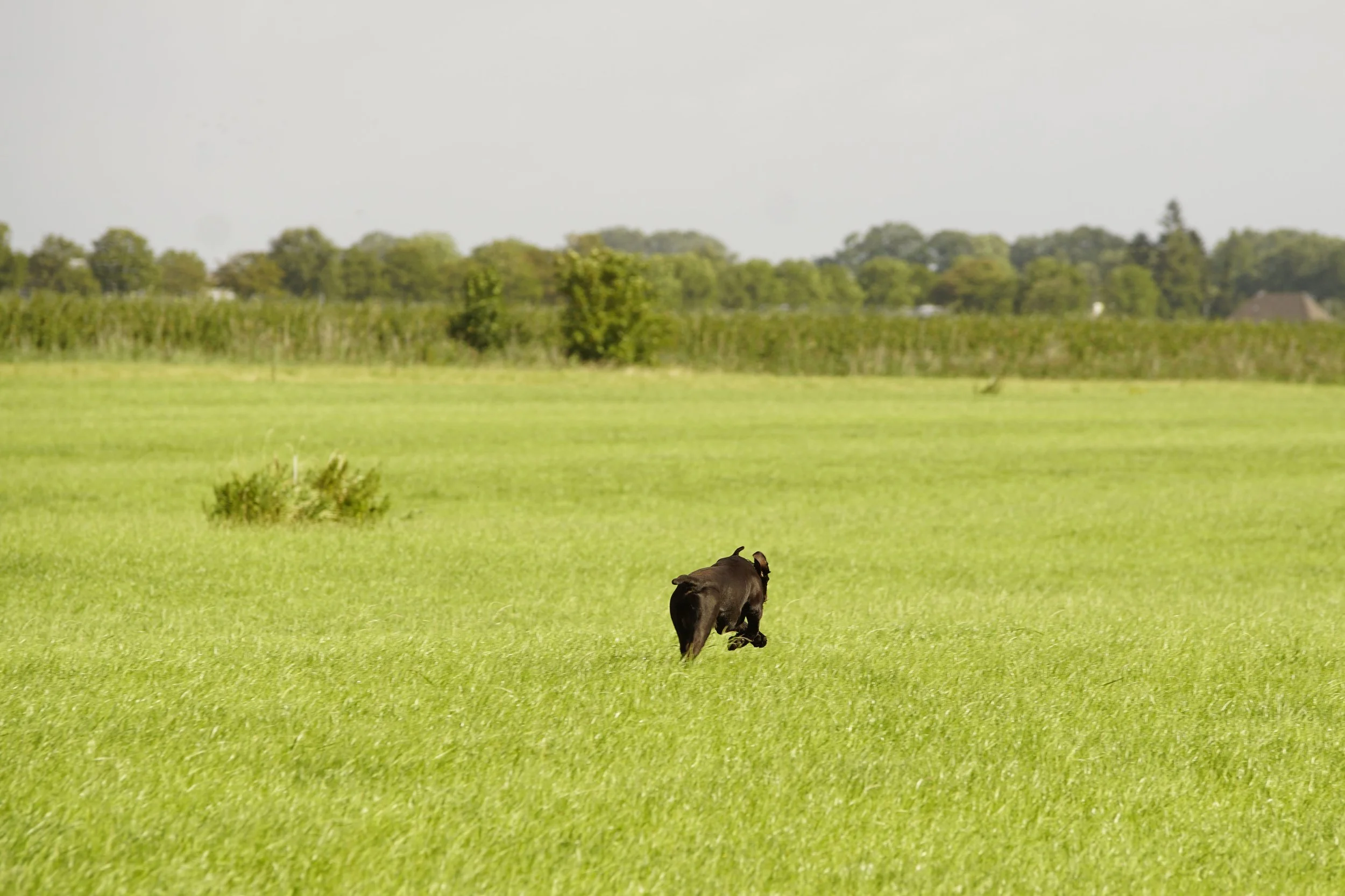 _DSC7852.JPG