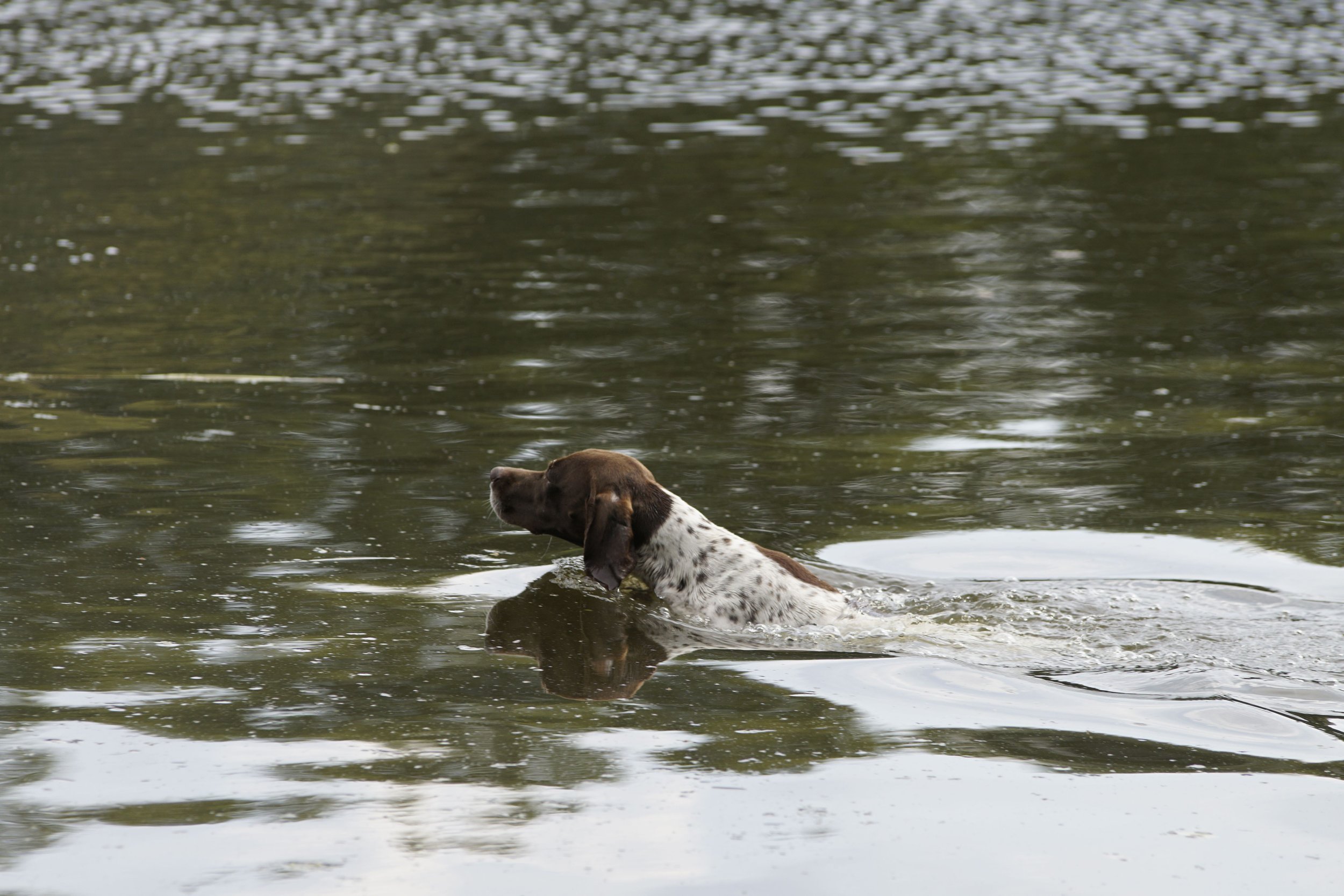 _DSC9652.JPG