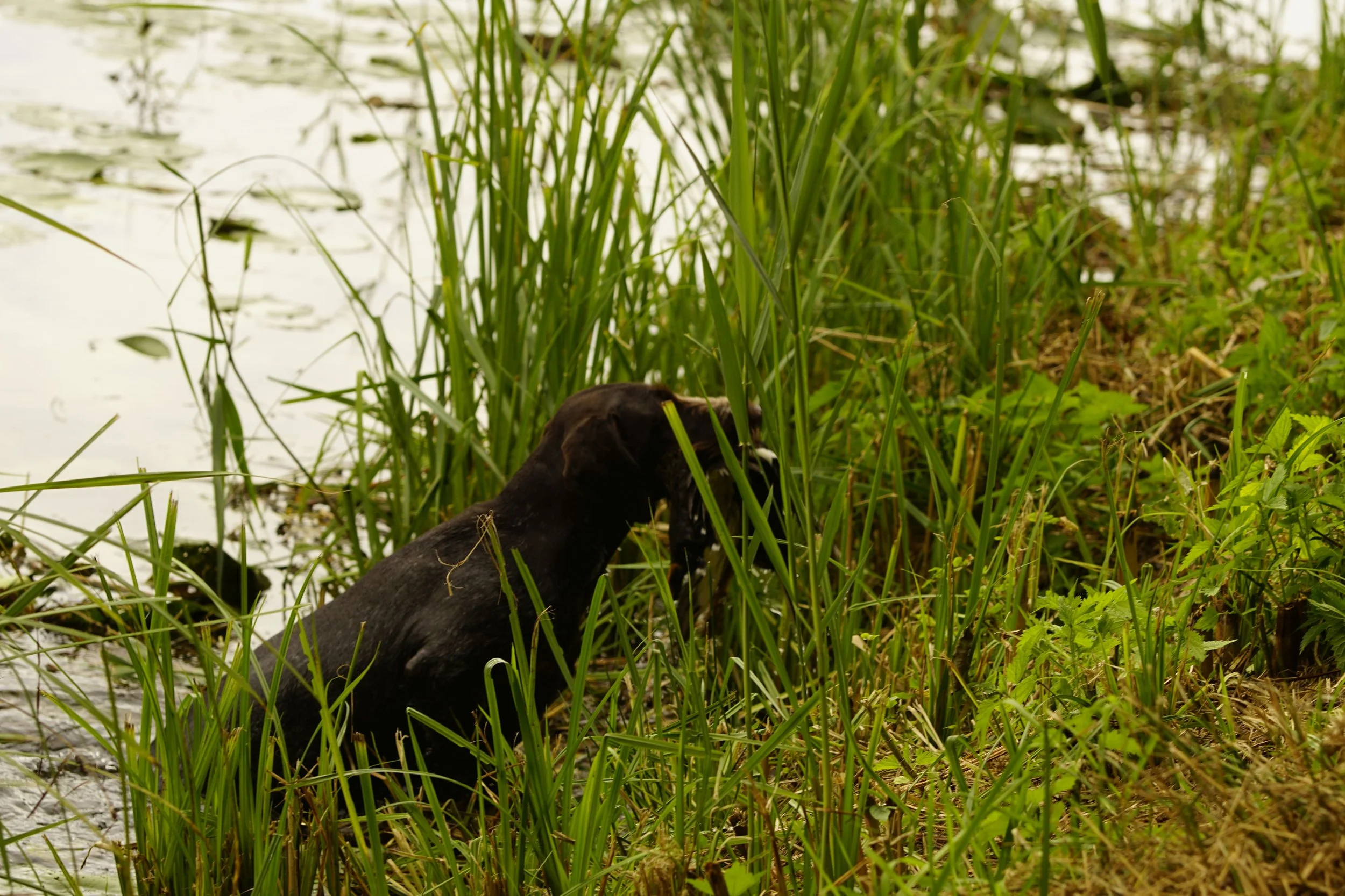 _DSC9750.JPG