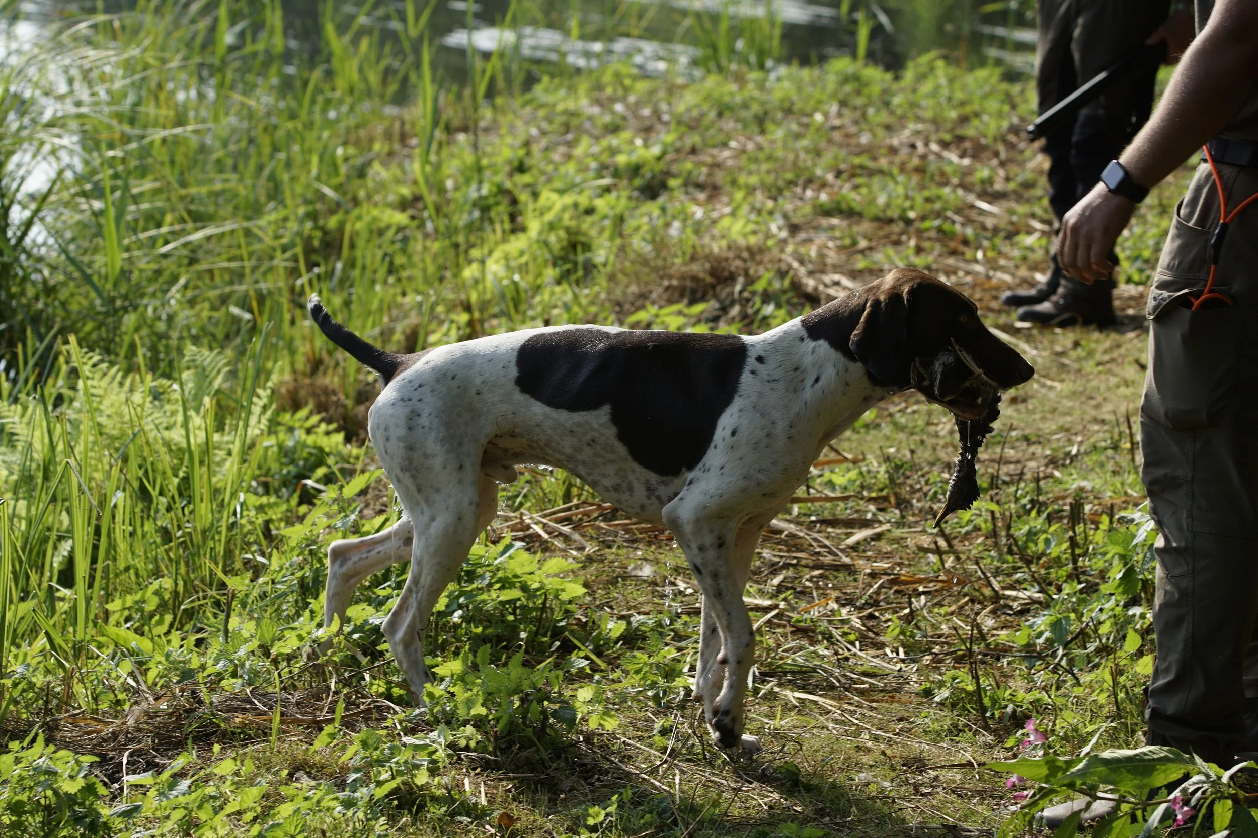 _DSC9109.JPG
