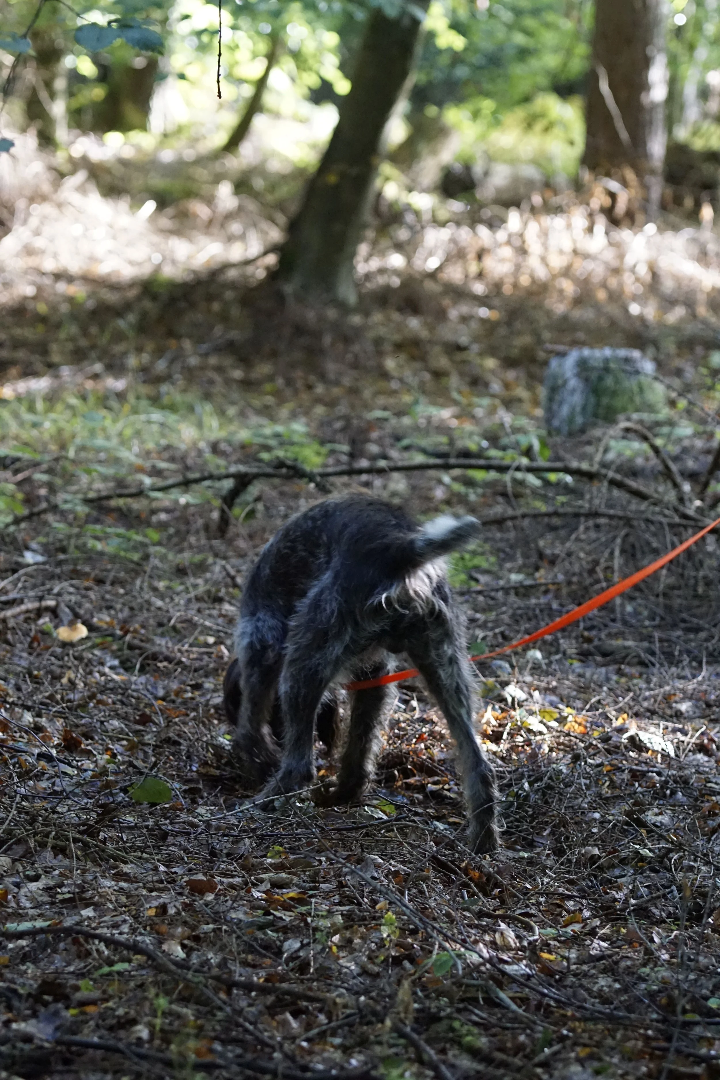 image144.JPG
