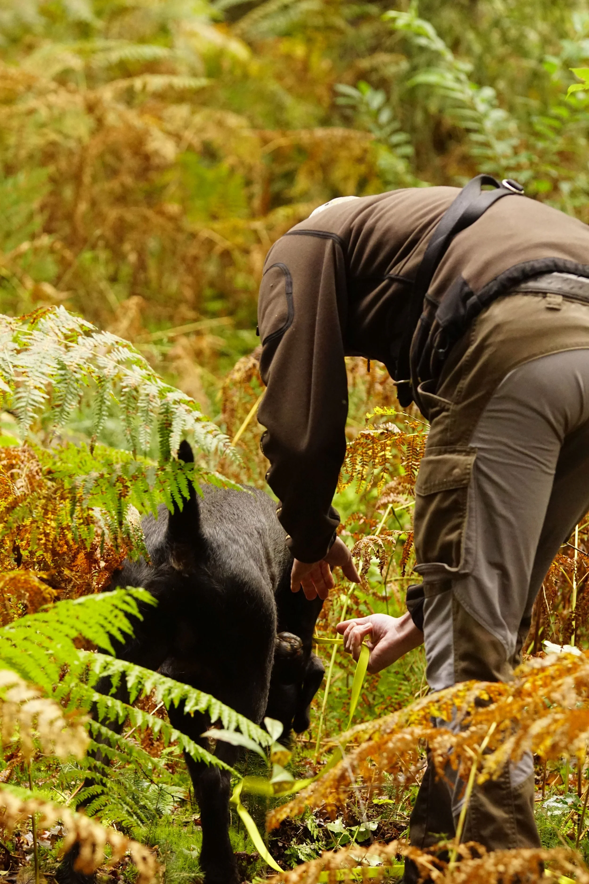_DSC8329.JPG