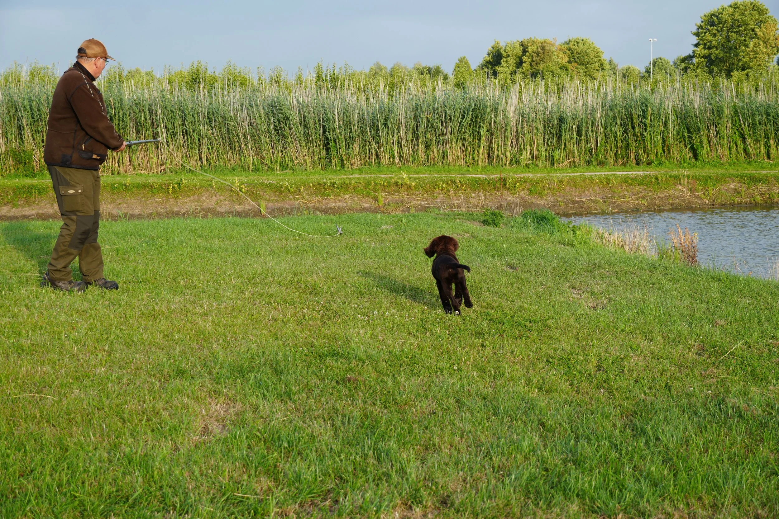 DSC08976.JPG