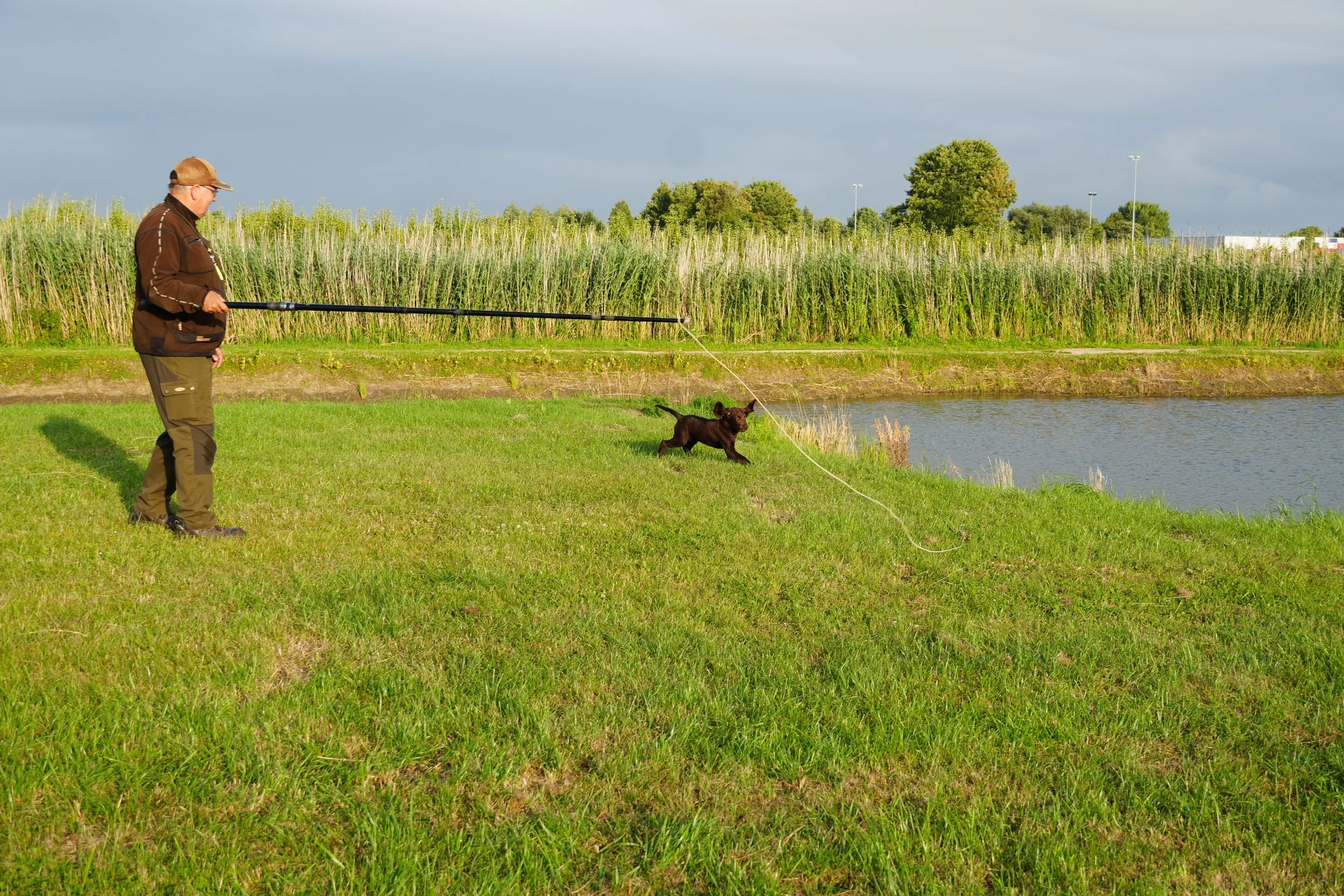 DSC08971.JPG