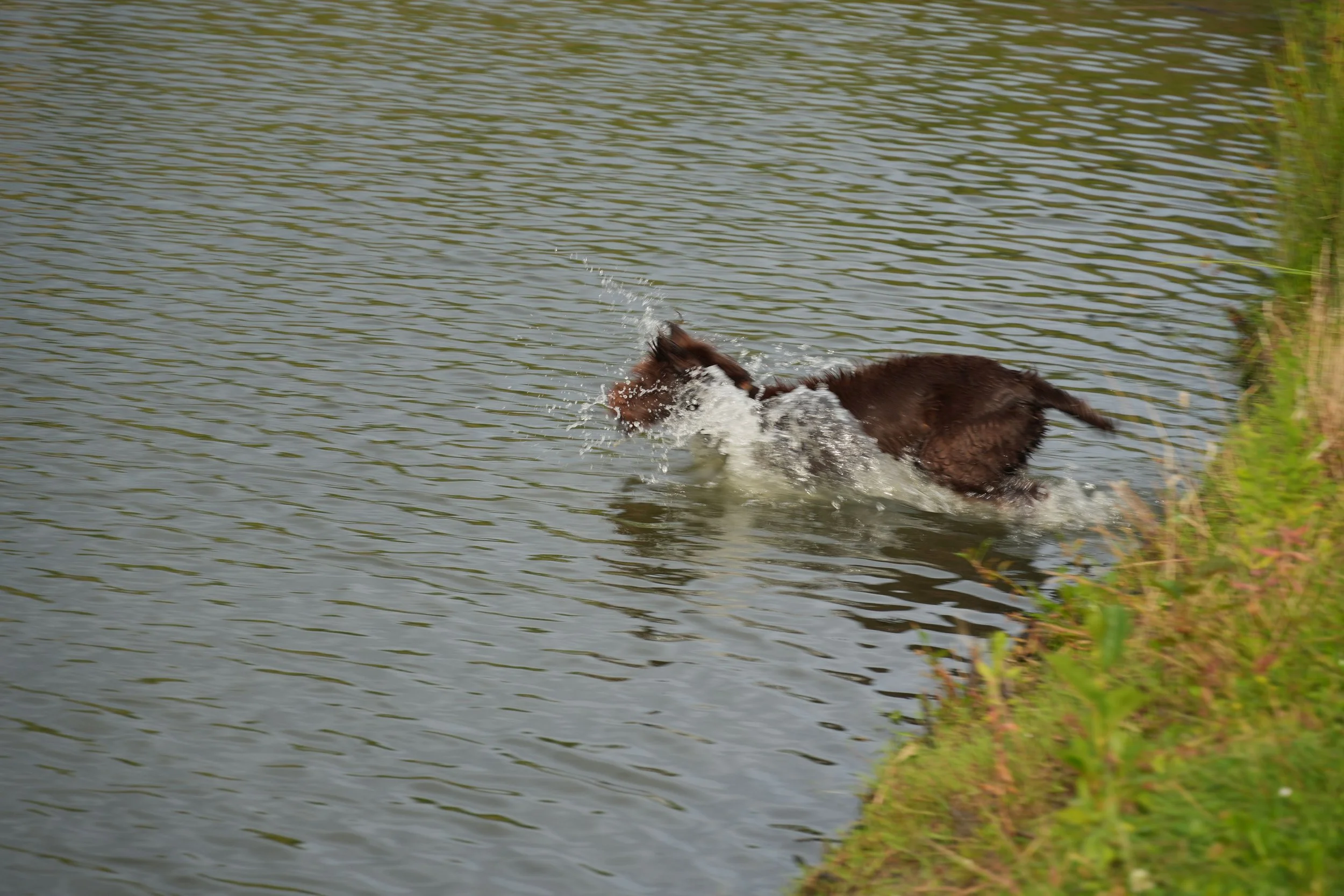 DSC08572.JPG