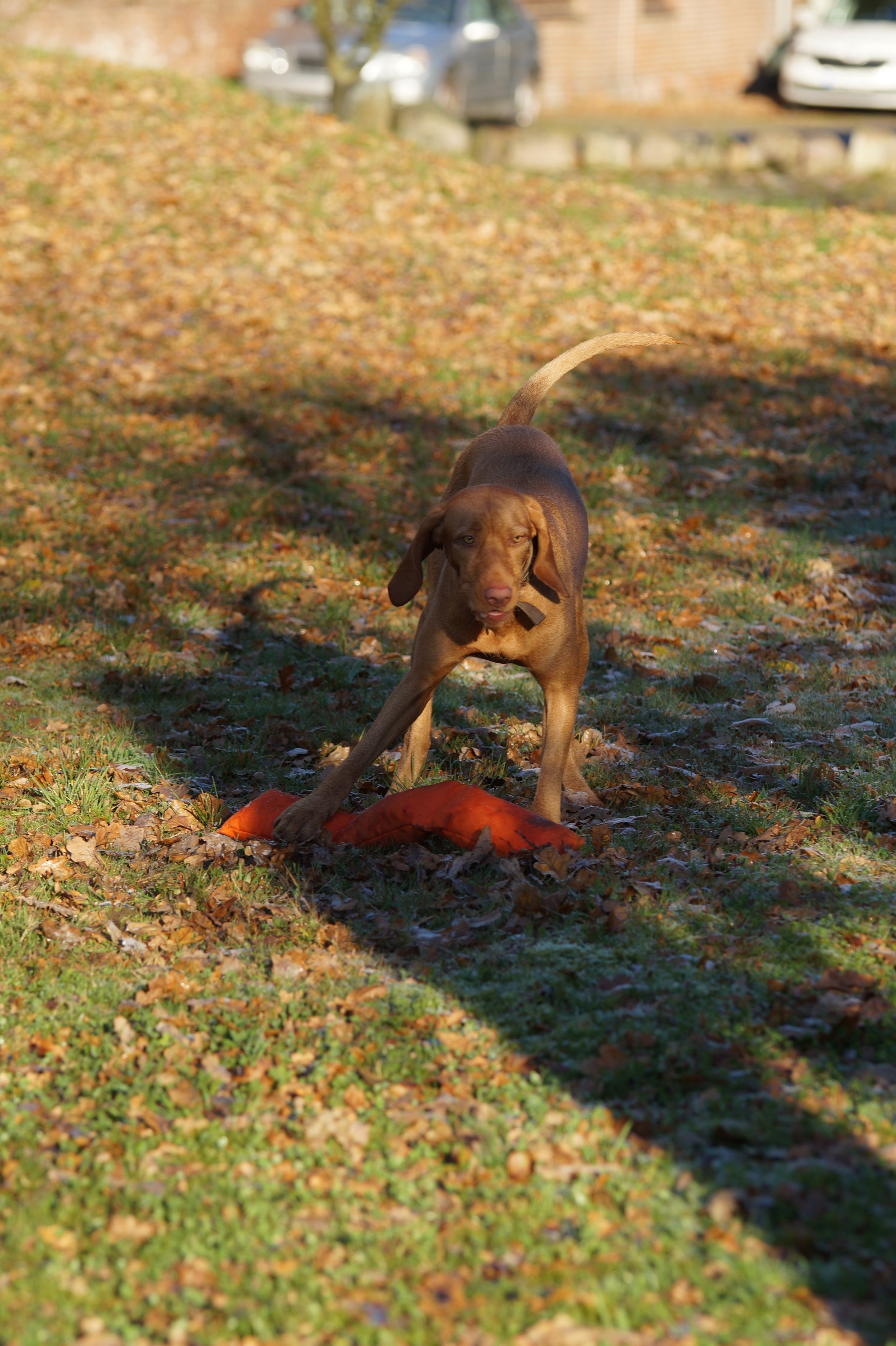 DSC02850.JPG
