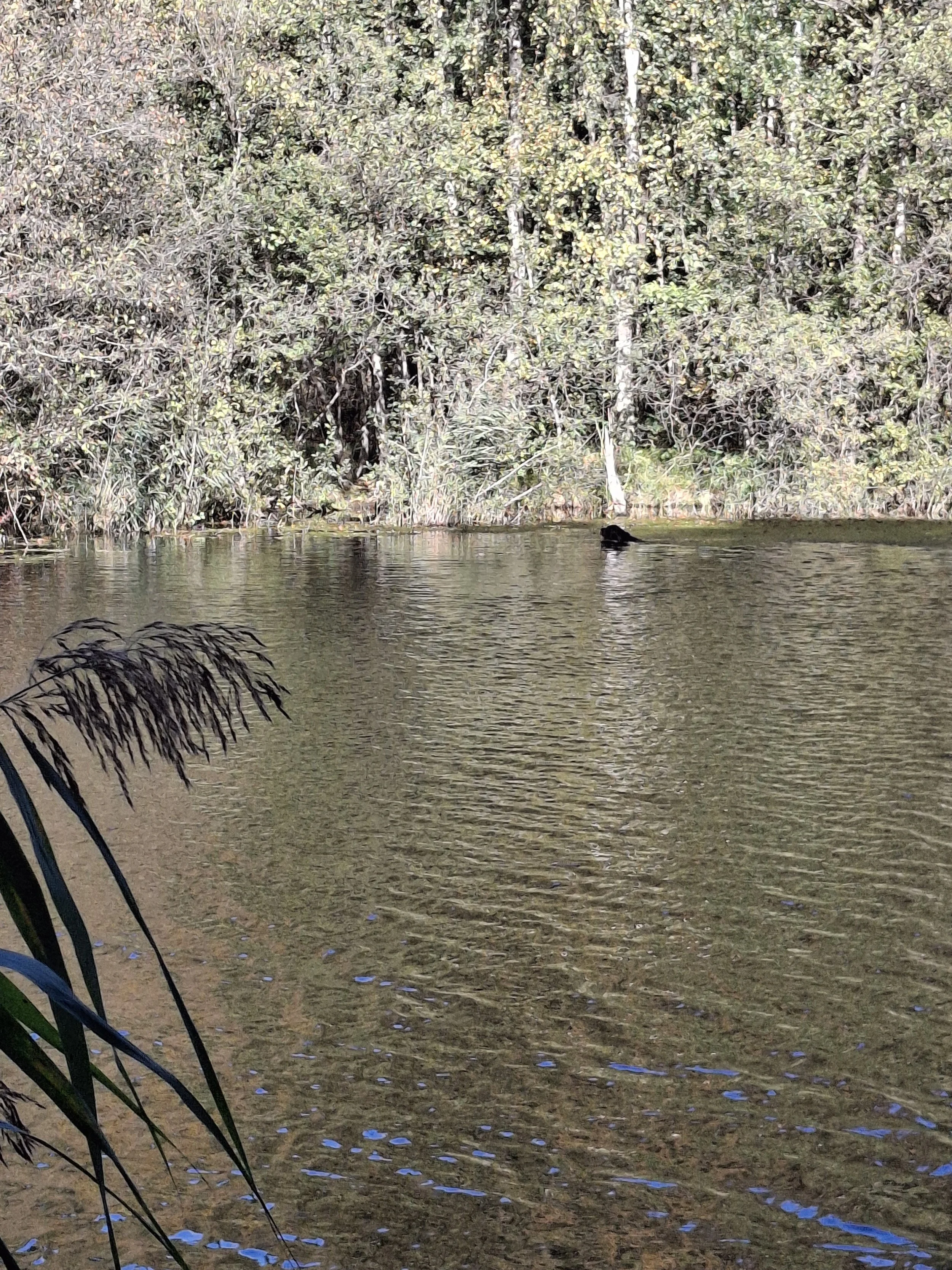 20261010_121006.jpg