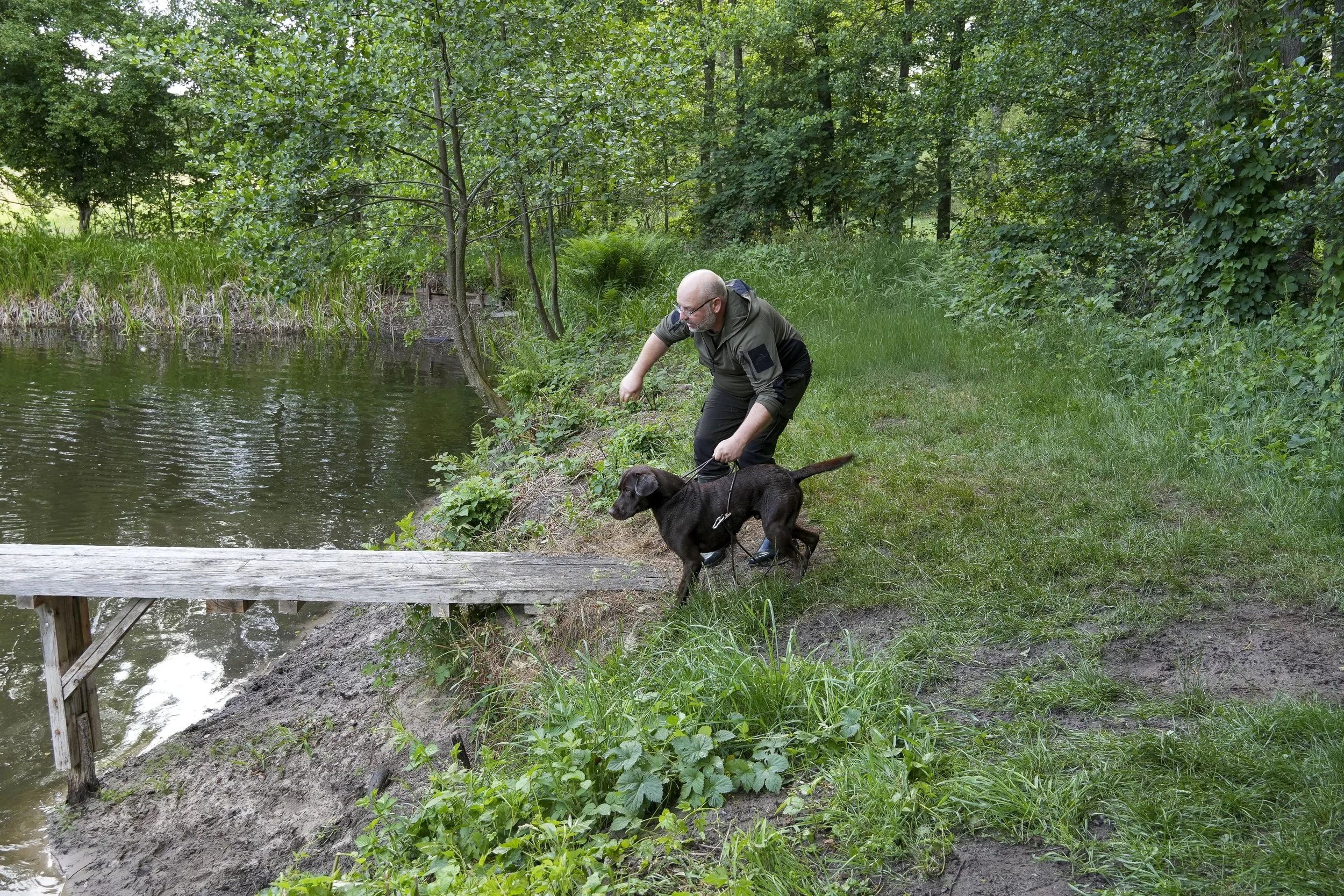 DSC01608.jpg