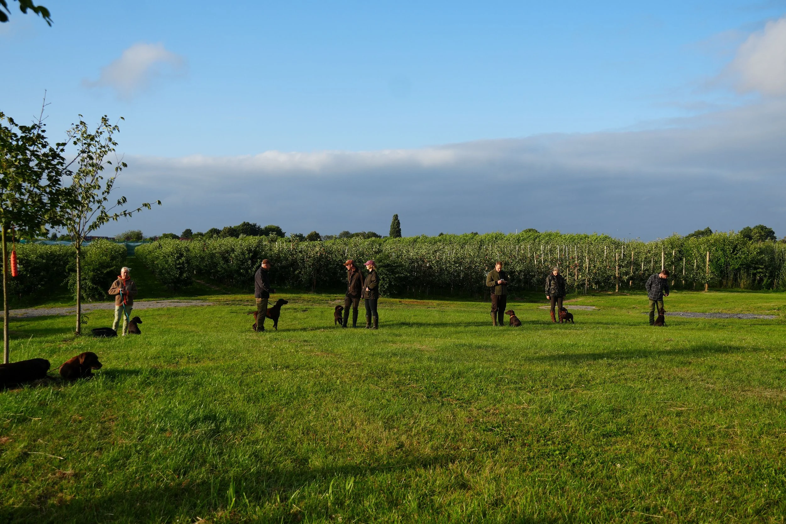 DSC08964.JPG