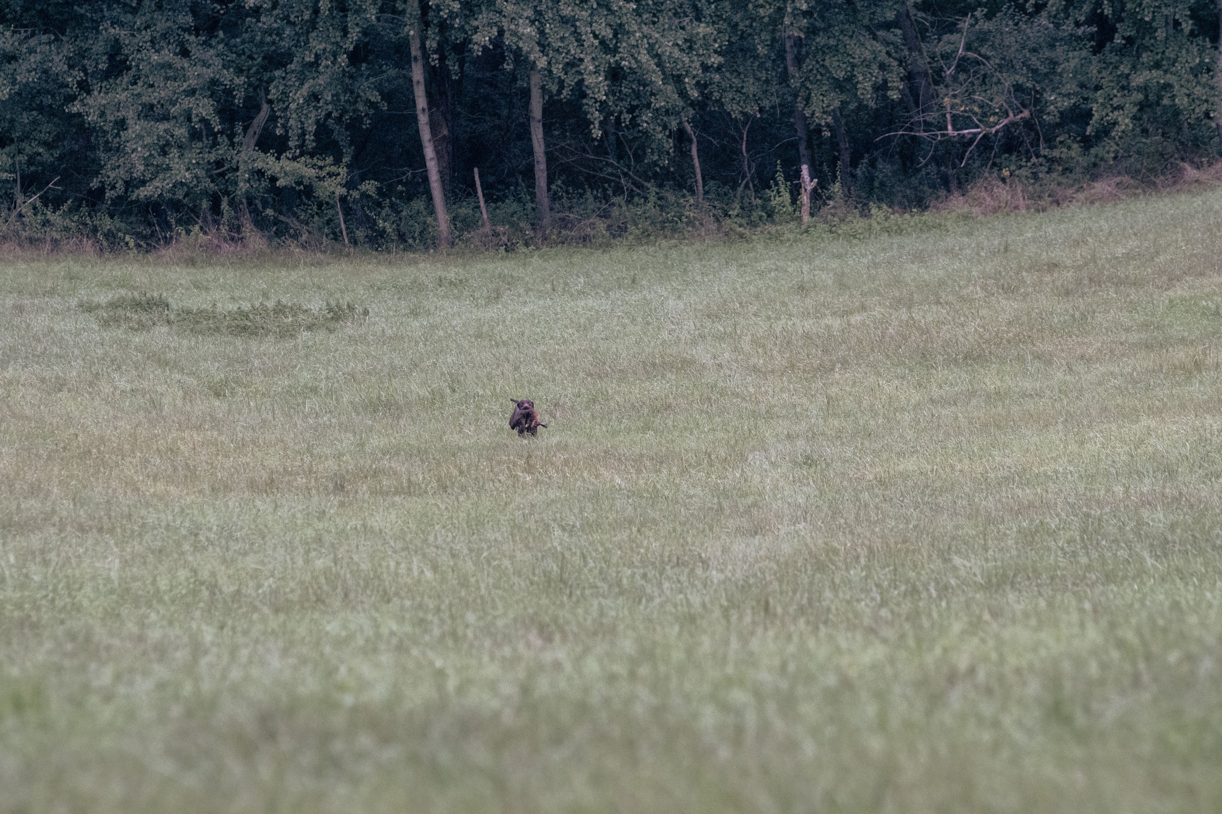 20260911-_DSC8641.jpg