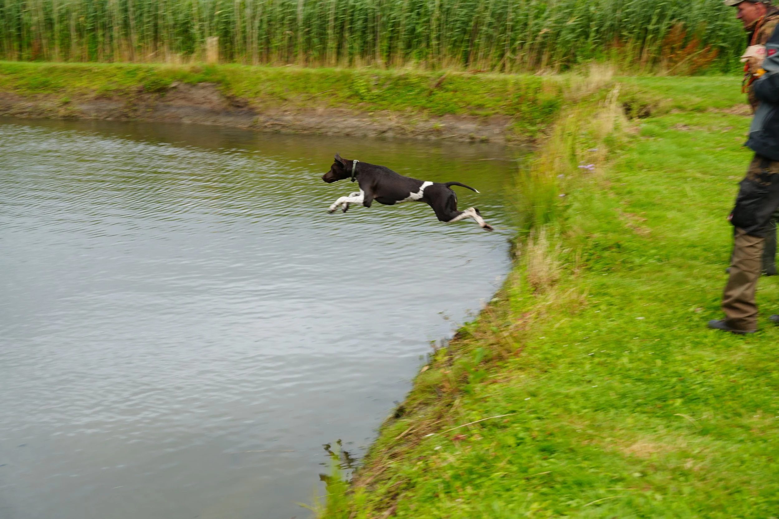 DSC08625.JPG
