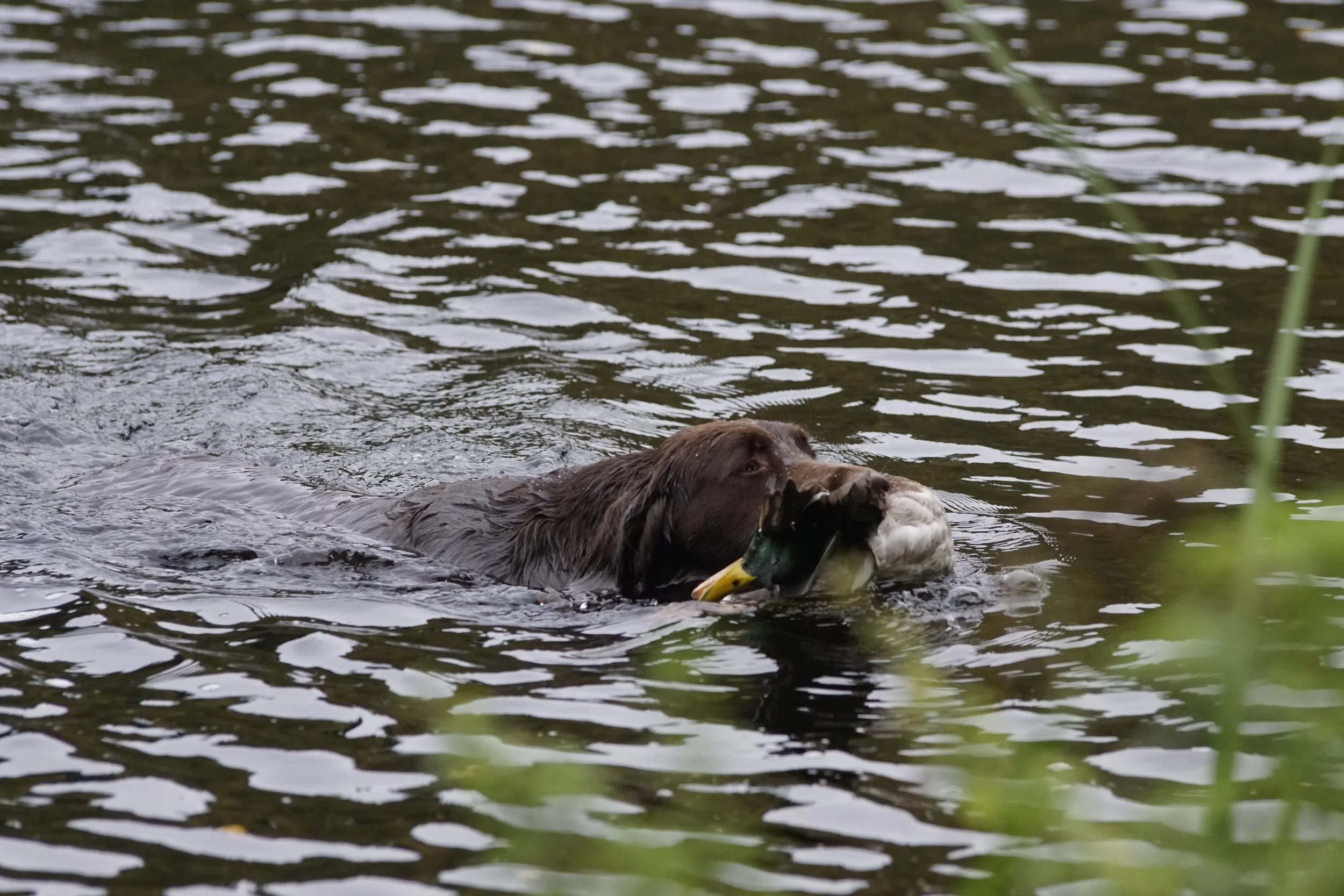 image7ii0125.jpg