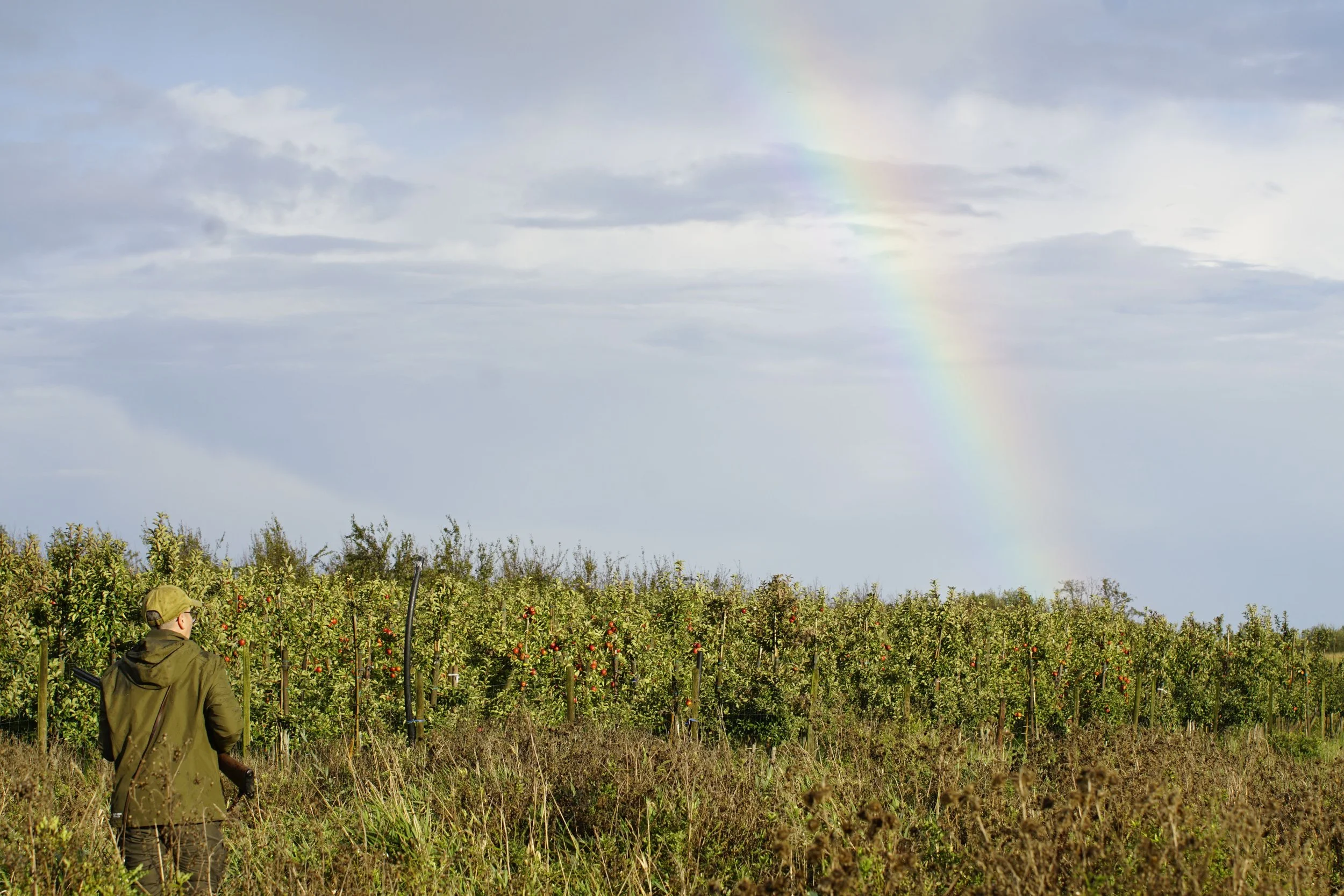 _DSC3575.JPG