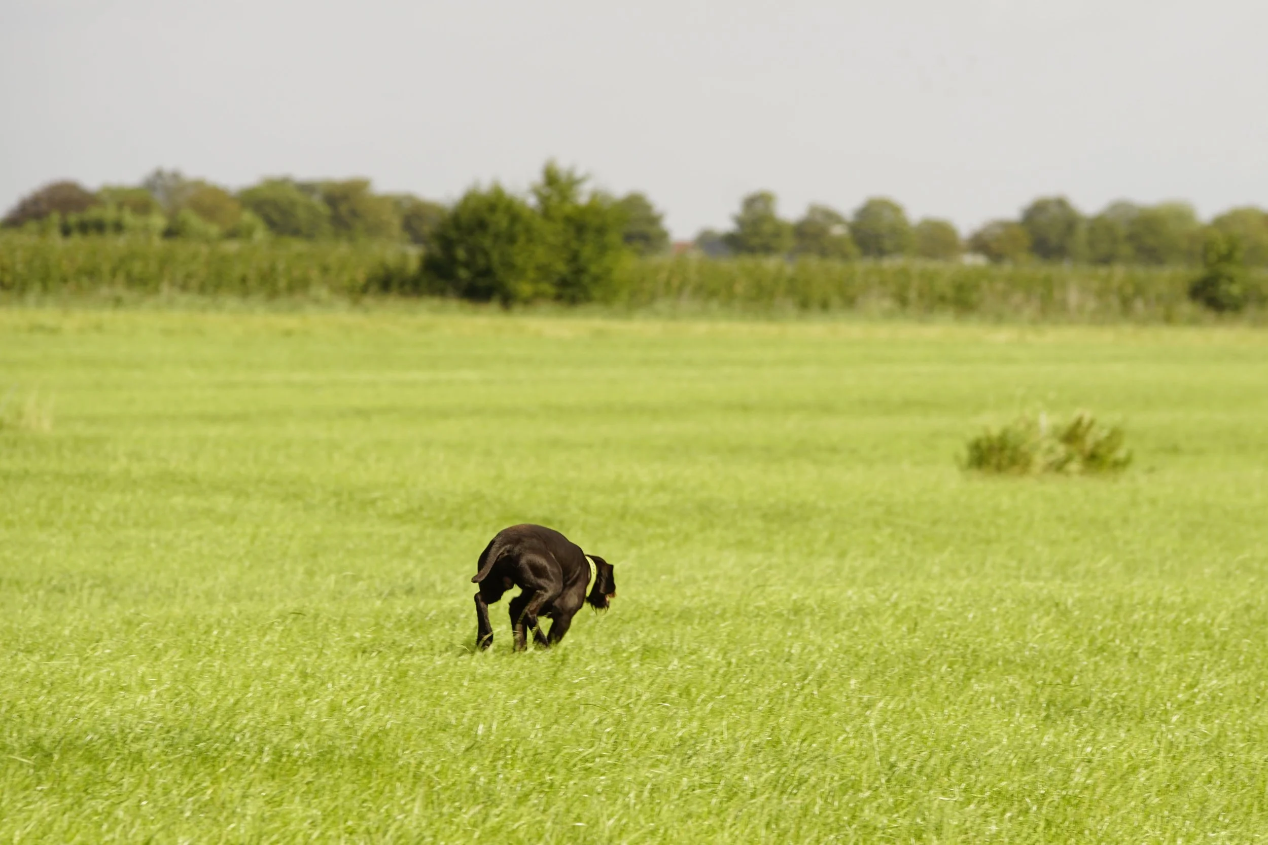 _DSC7851.JPG