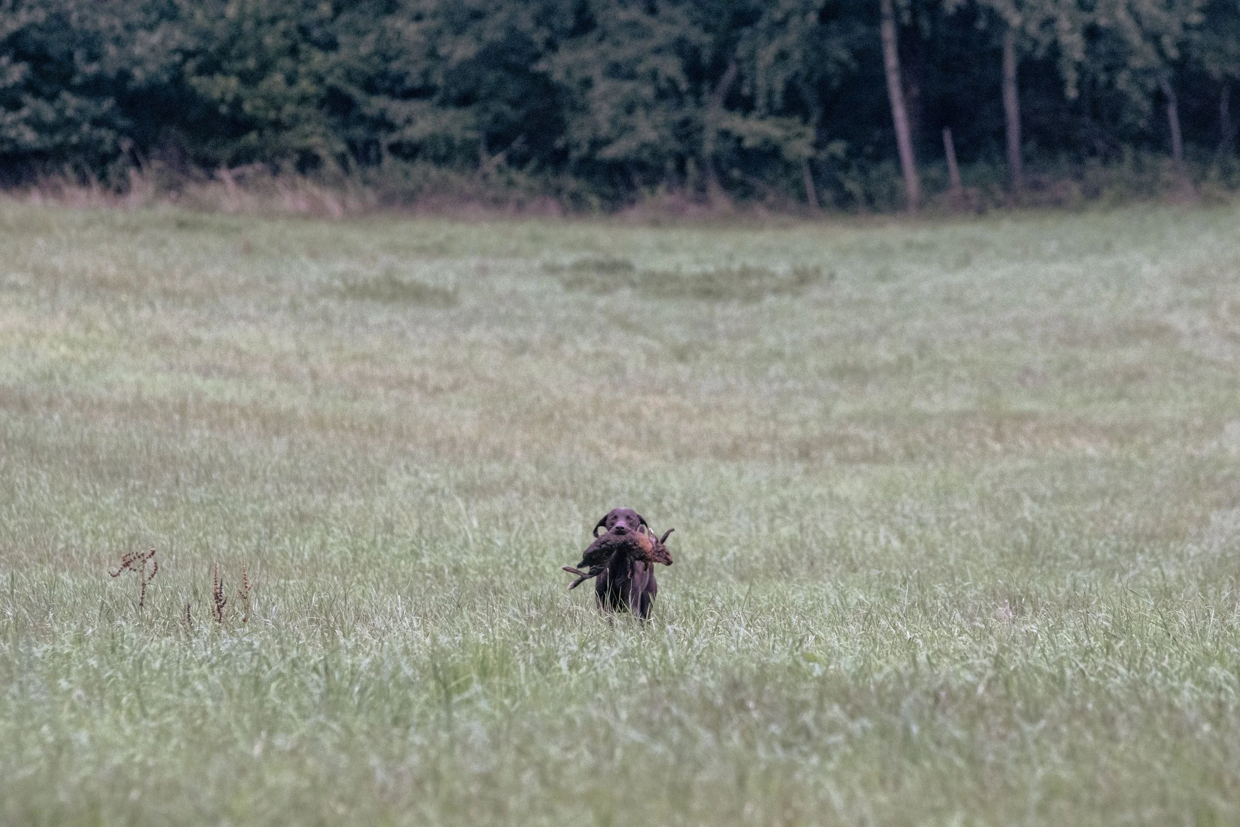 20260911-_DSC8645.jpg