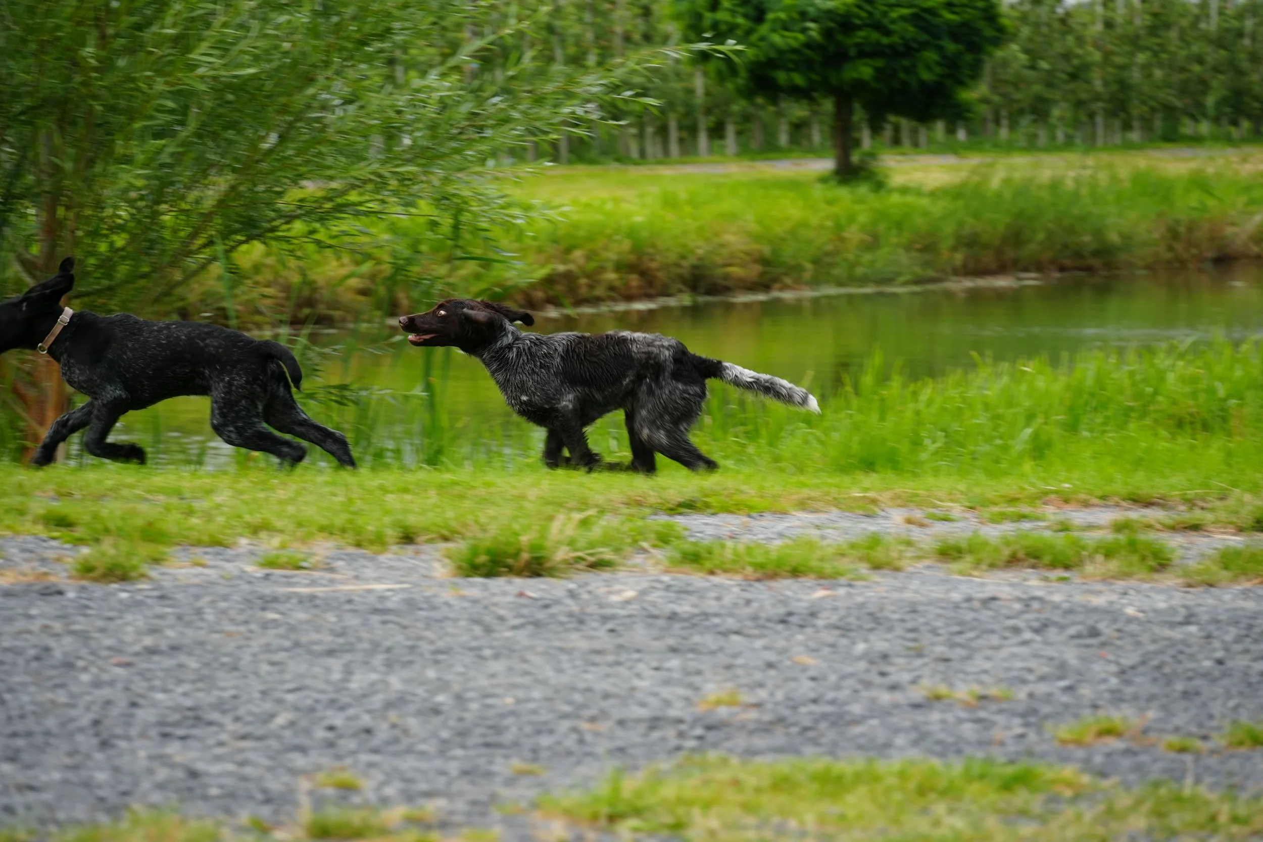 DSC08415.JPG