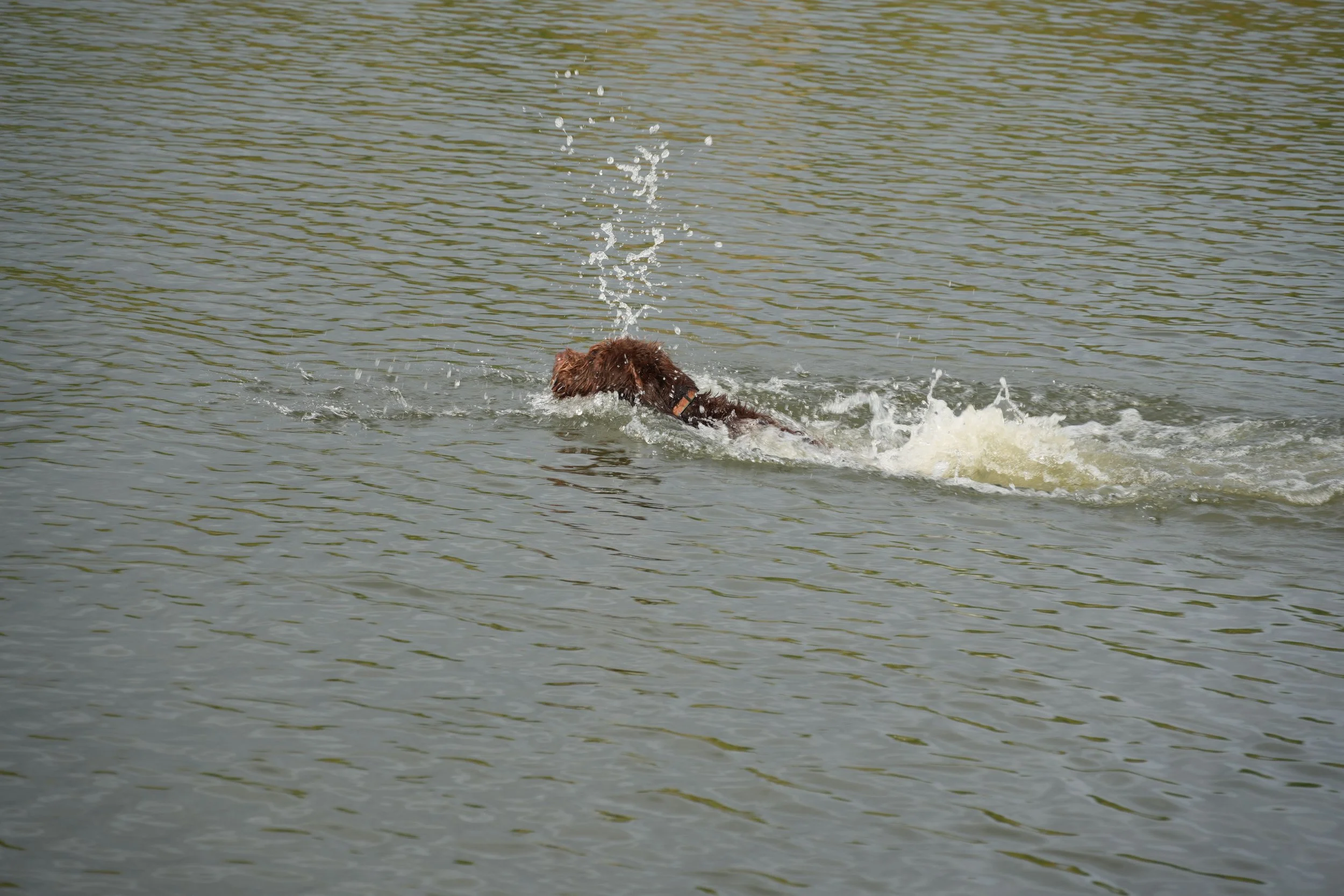 DSC08574.JPG