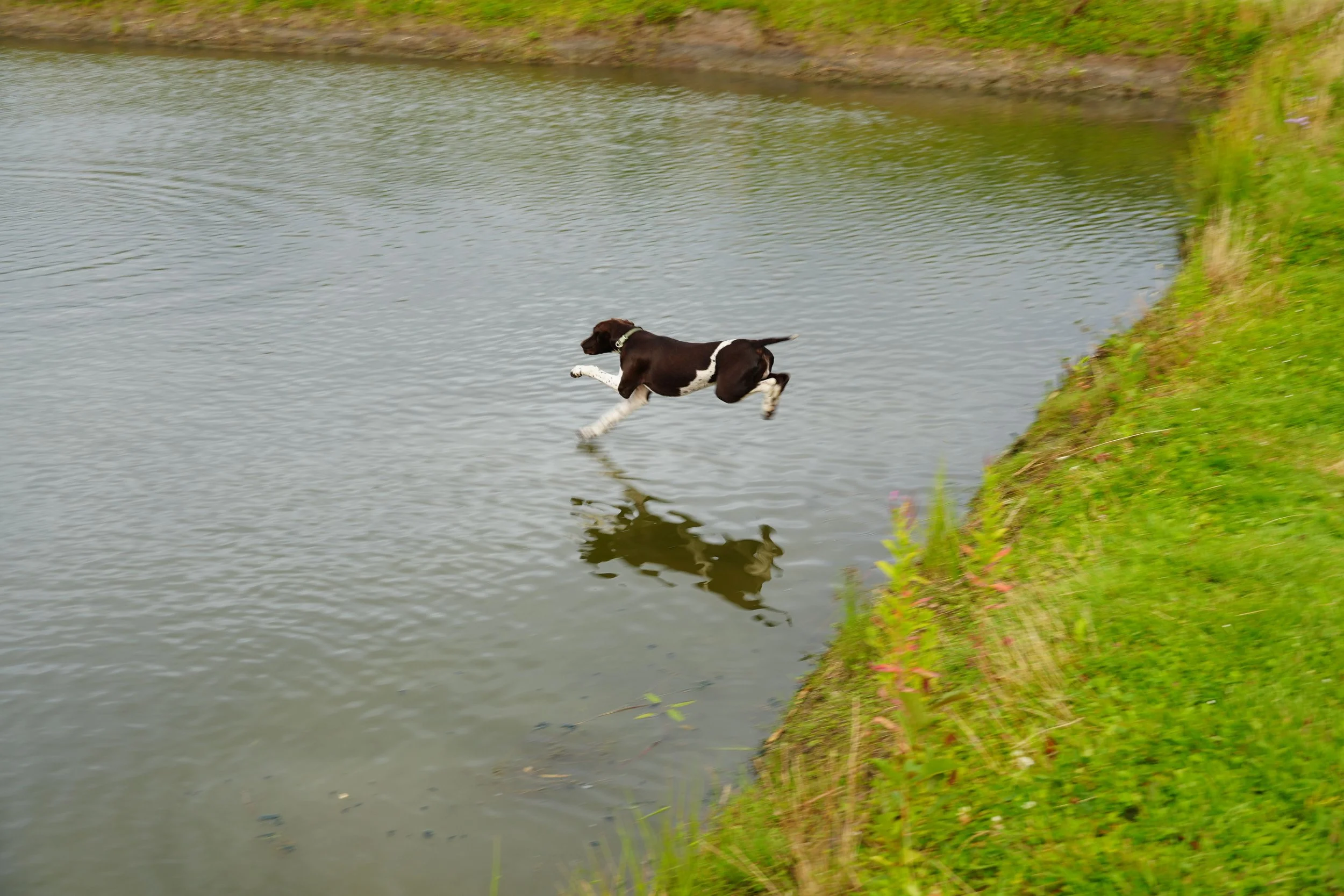 DSC08615.JPG