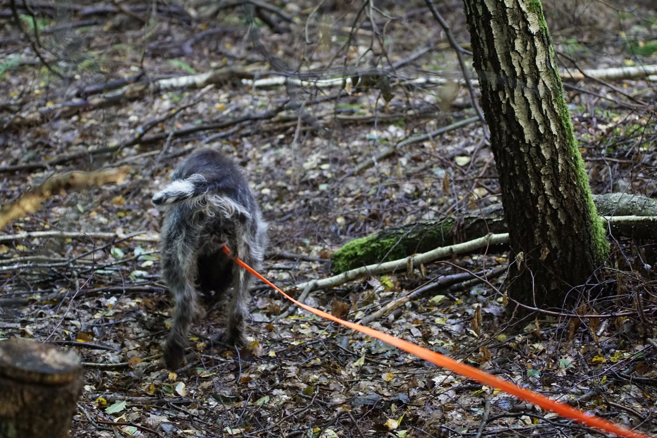 image146.JPG