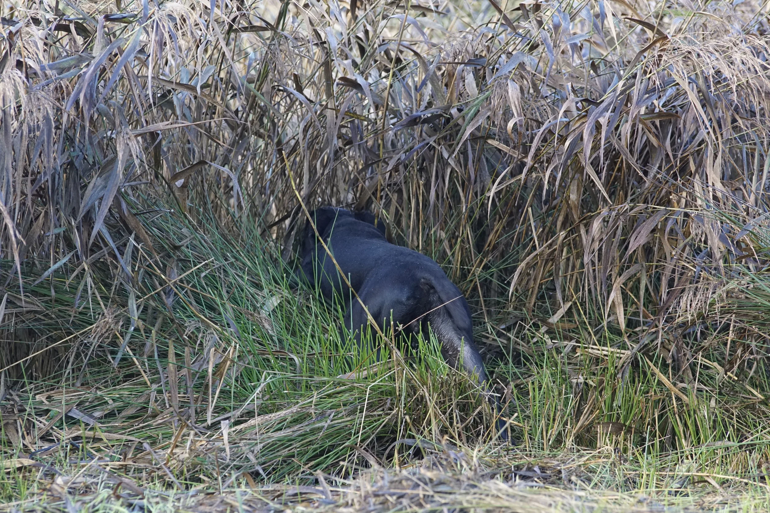 image7ii0578.jpg
