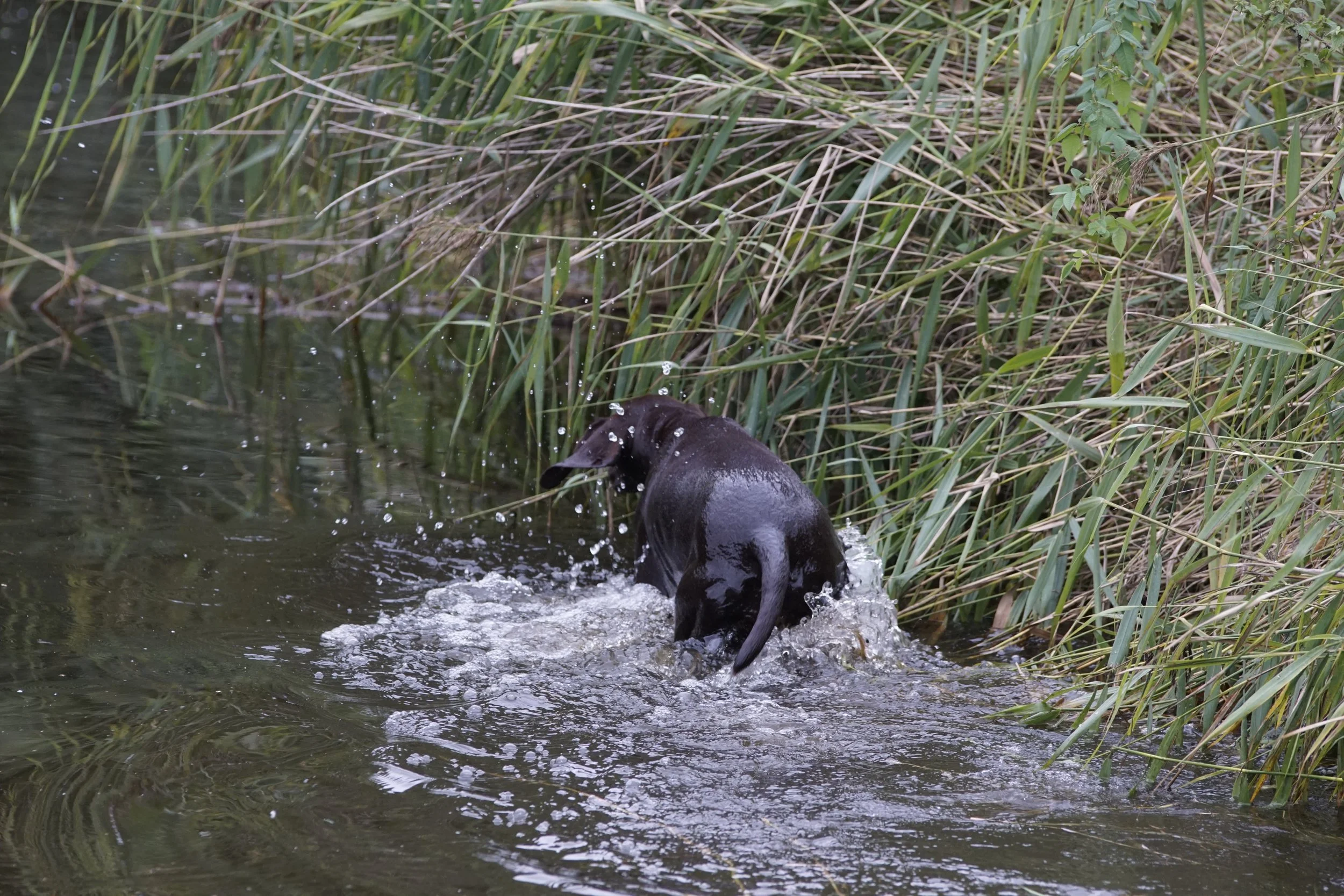 _DSC9103.JPG