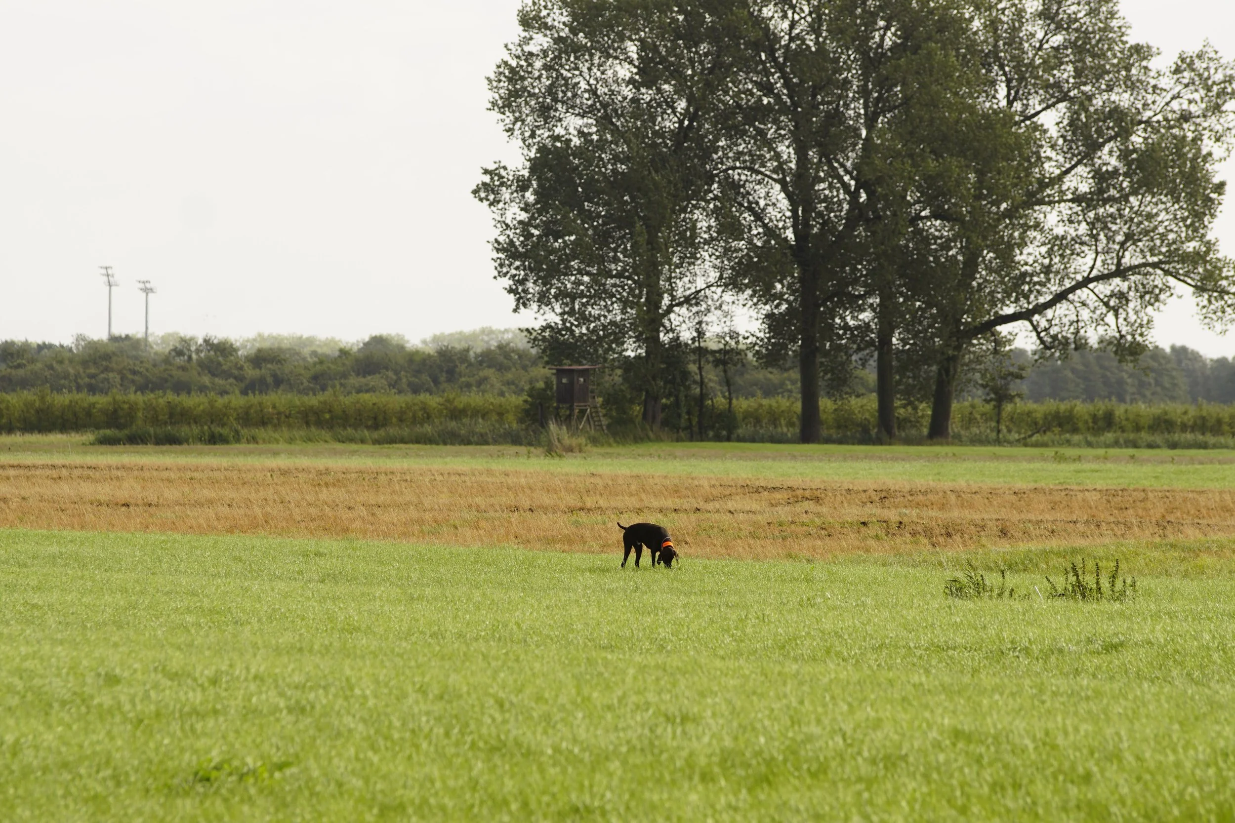 _DSC7727.JPG