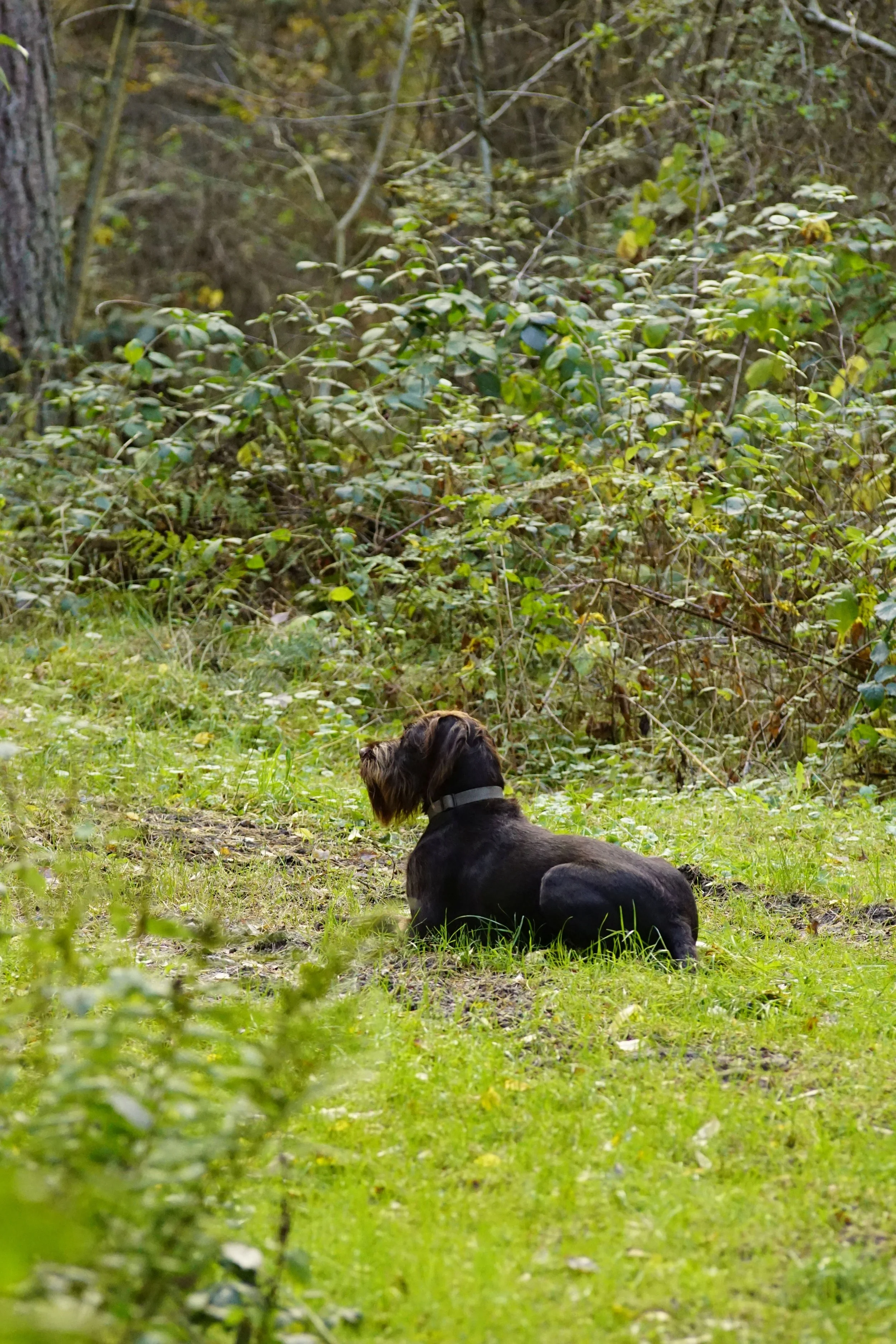 _DSC3350.JPG