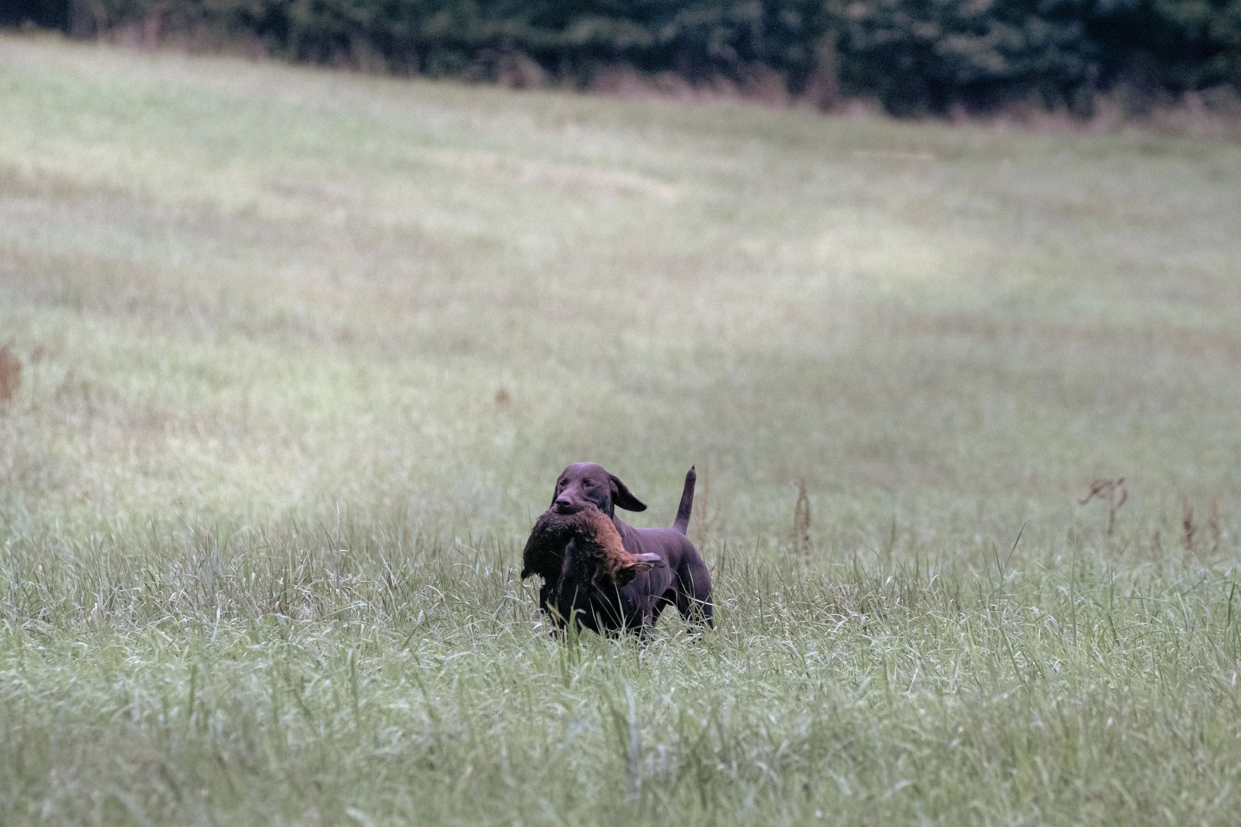 20260911-_DSC8649.jpg