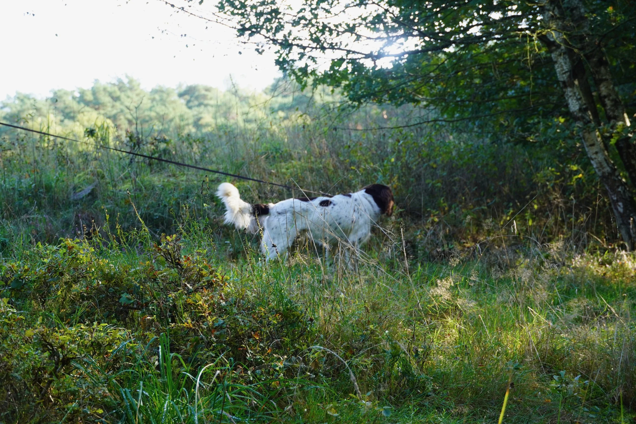 DSC01903.jpeg