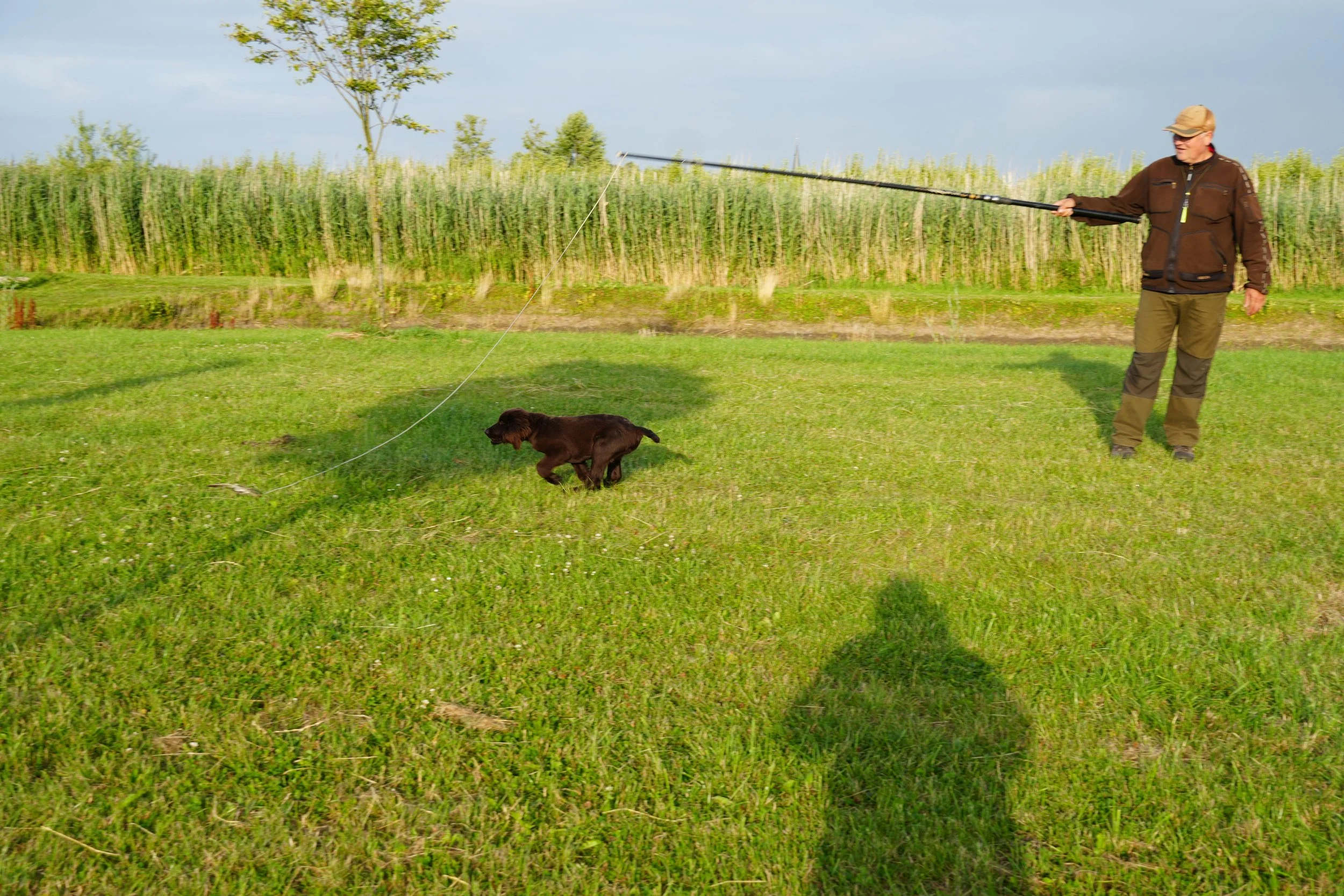 DSC08972.JPG