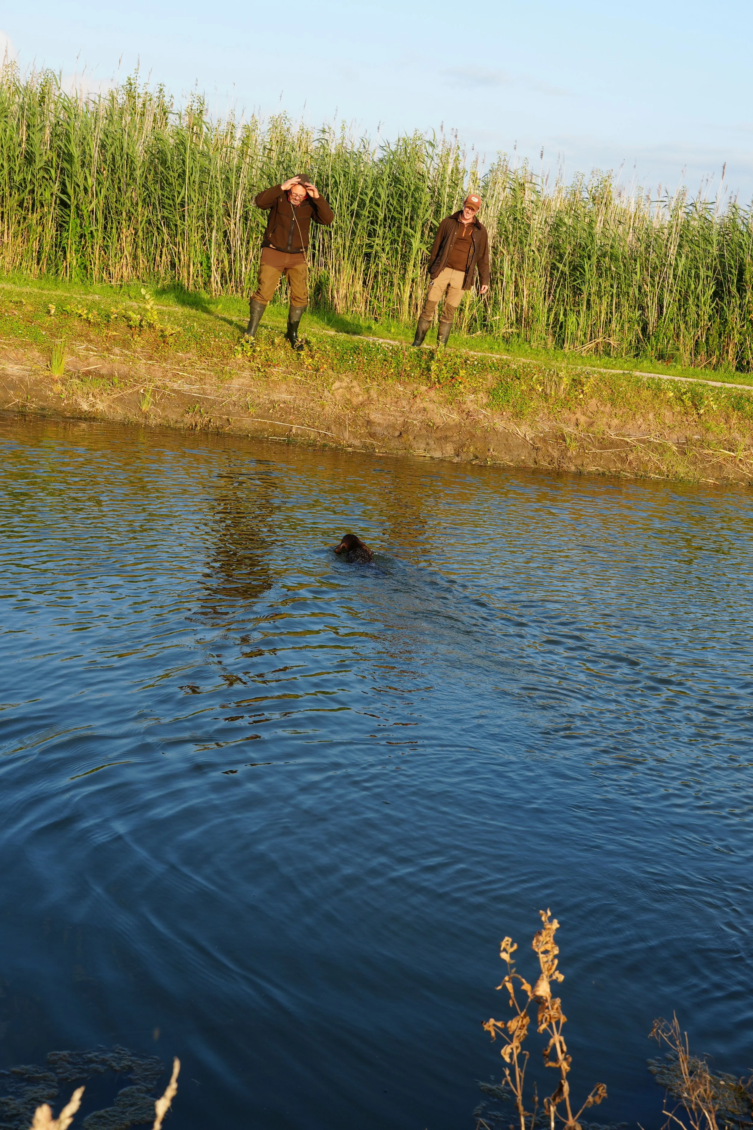 DSC09362.JPG