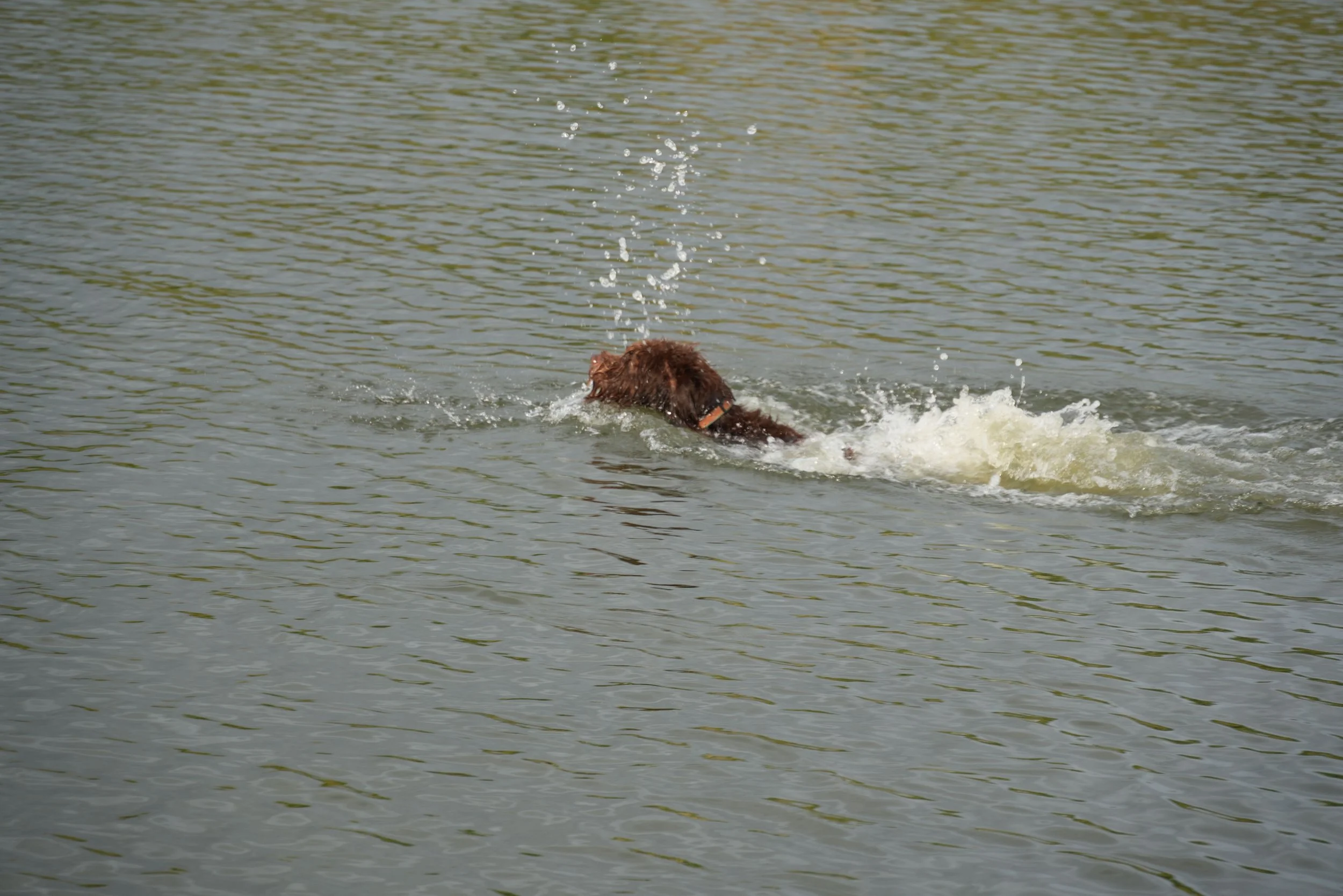 DSC08575.JPG