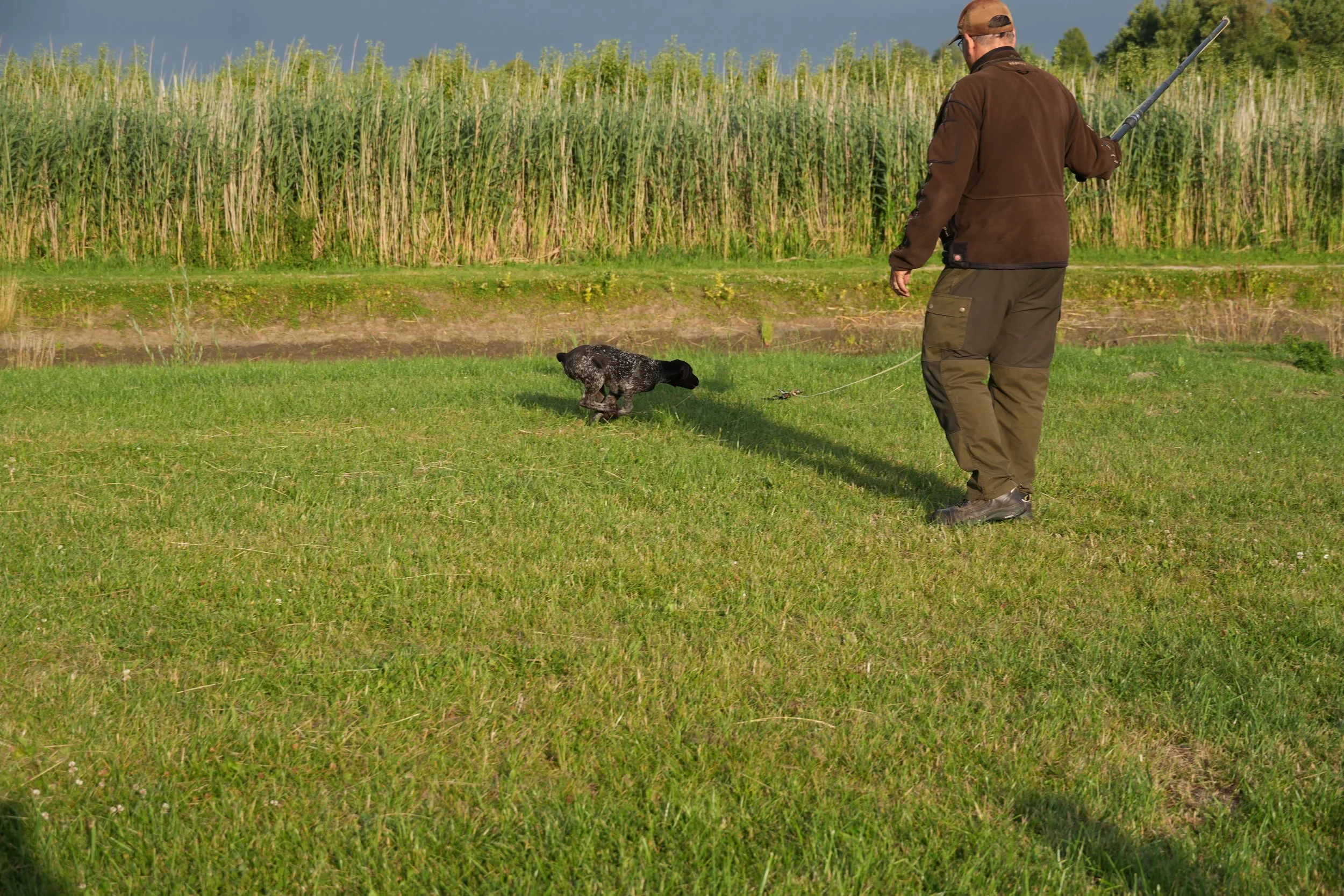 DSC08925.JPG