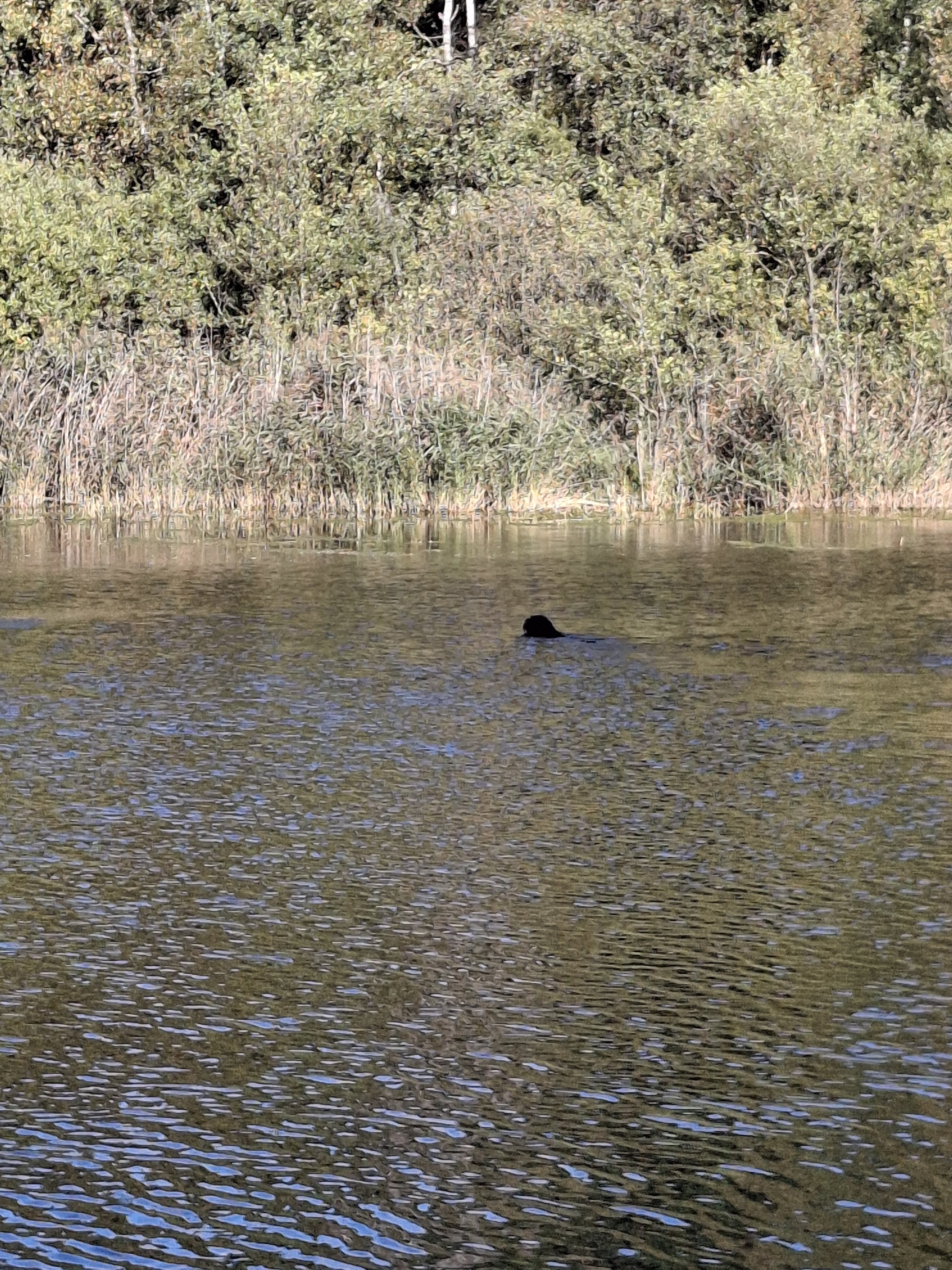 20261010_115406.jpg