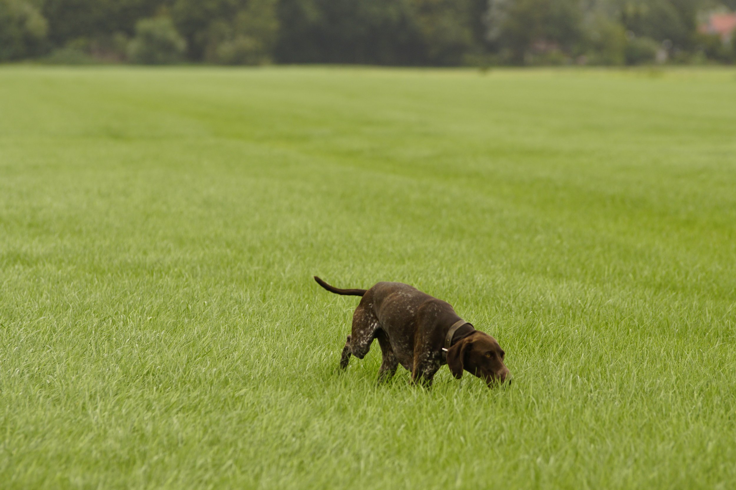_DSC9629.JPG