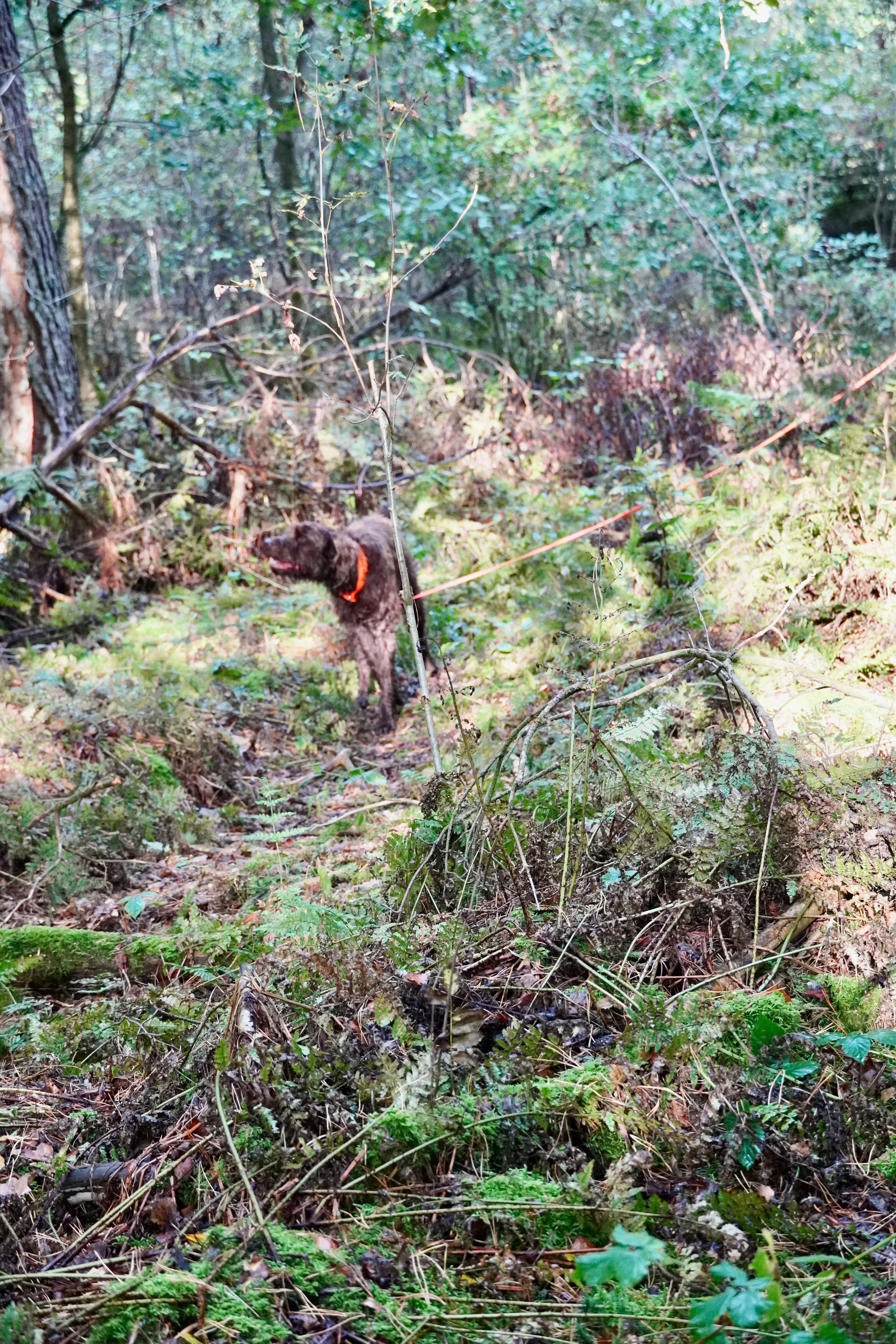 DSC01772.jpeg