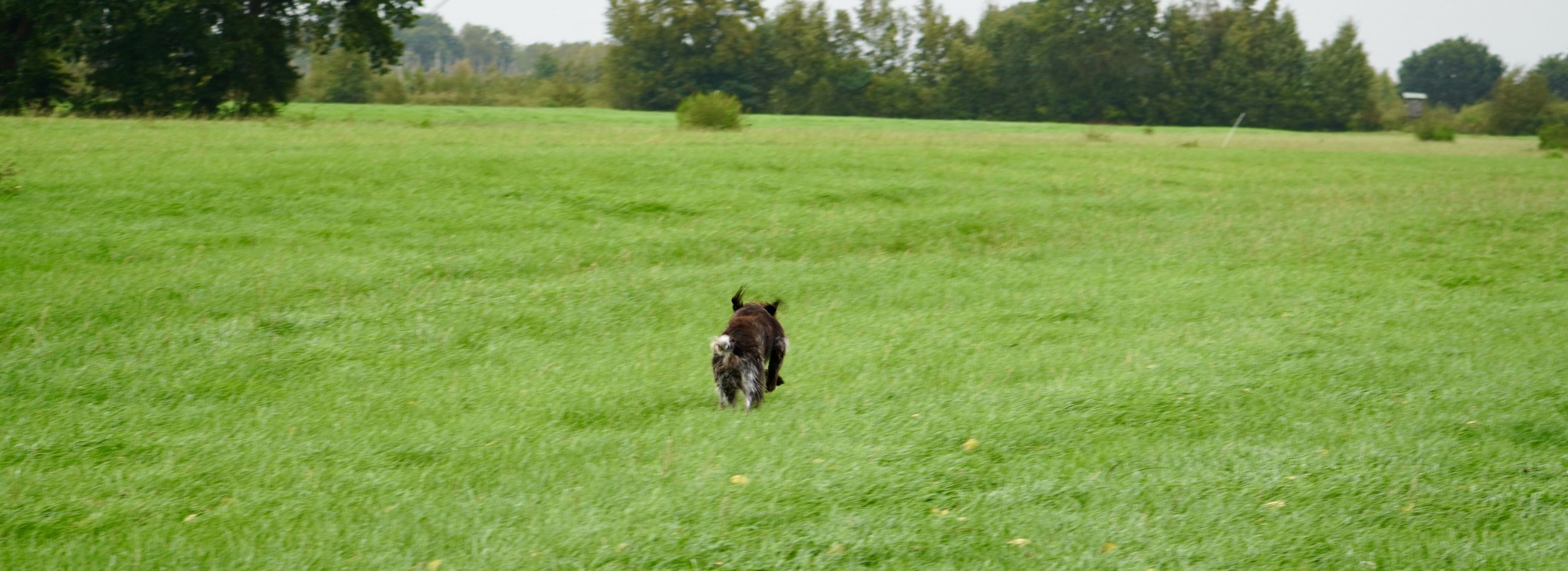 DSC01314.JPG