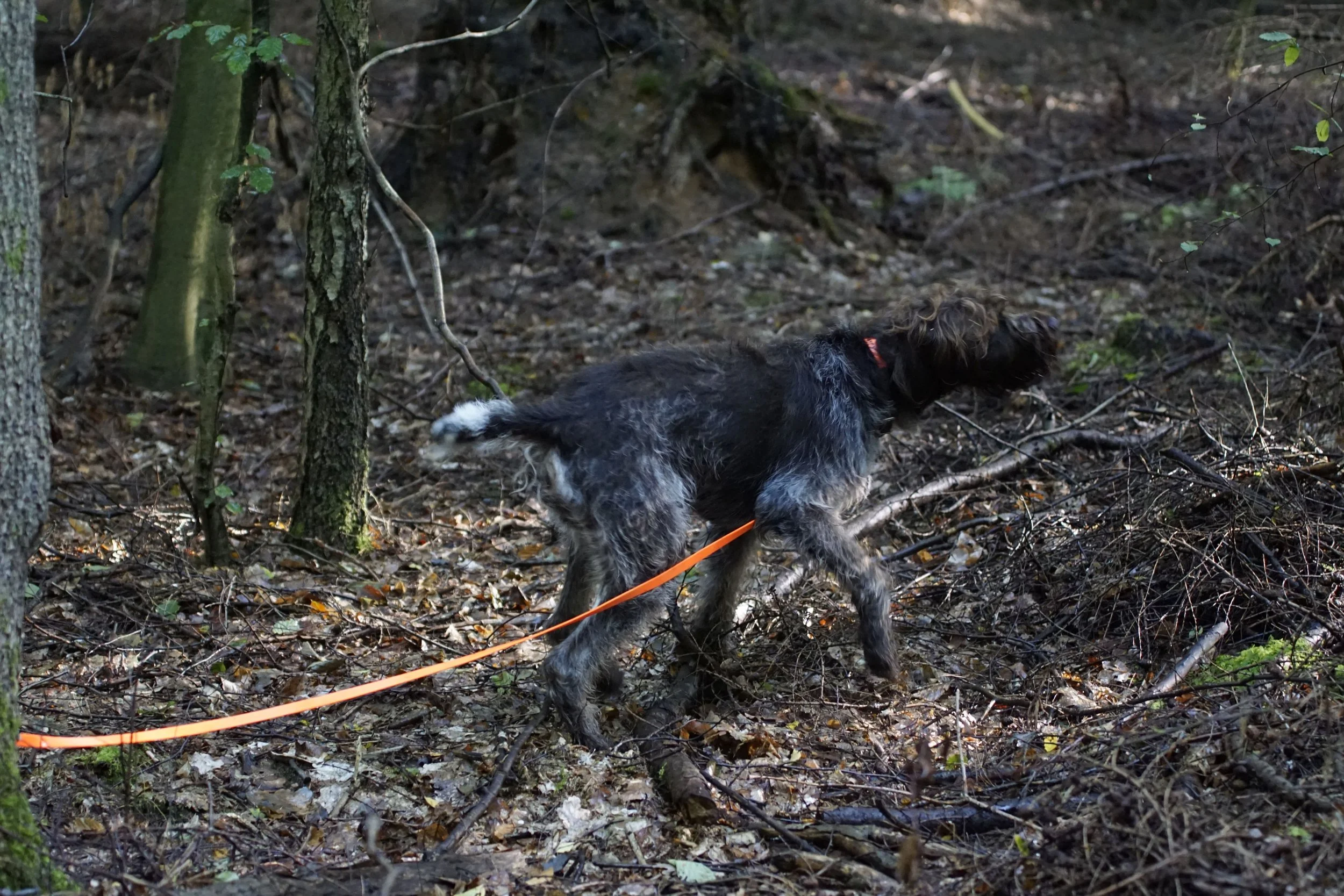 image147.JPG