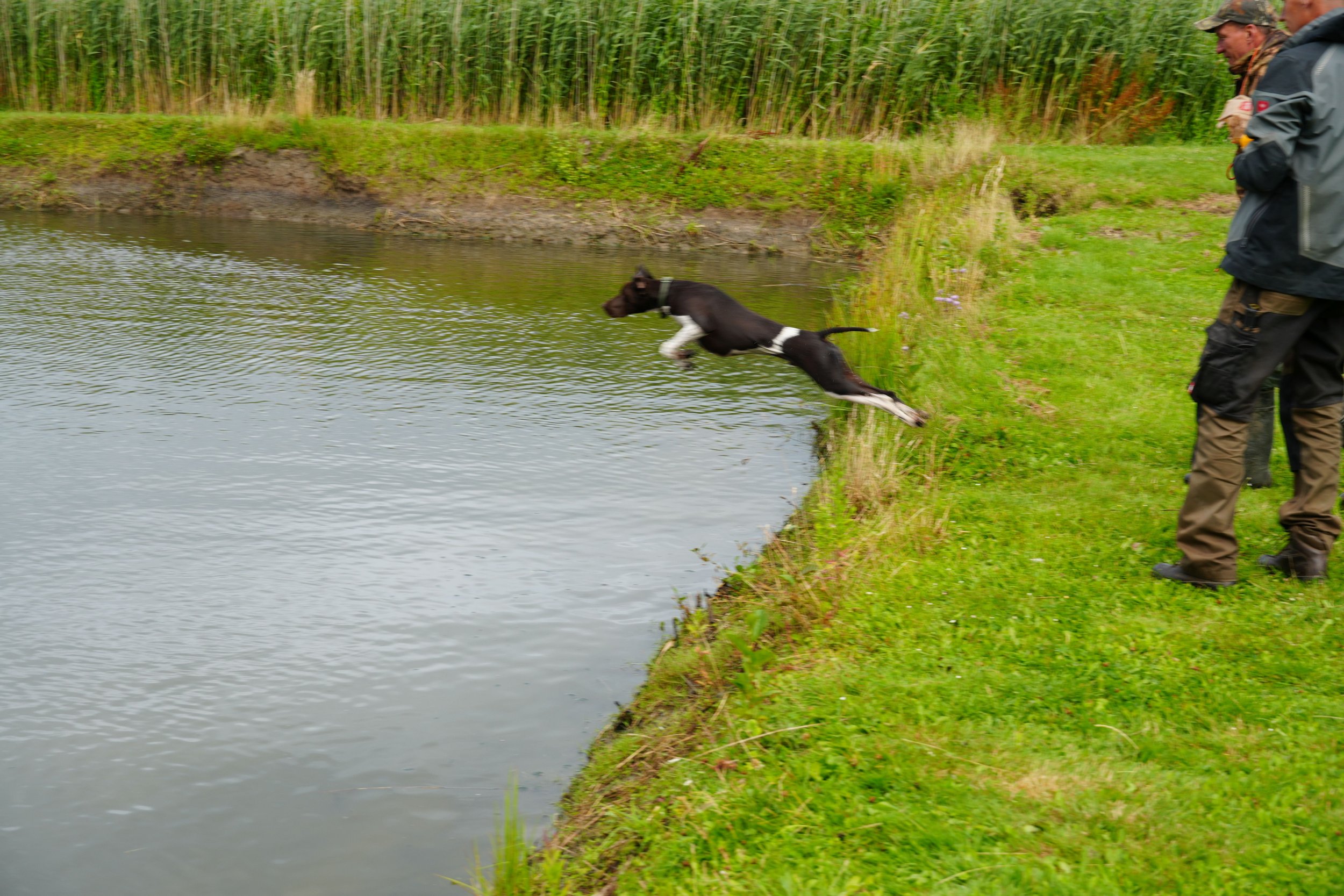 DSC08624.JPG