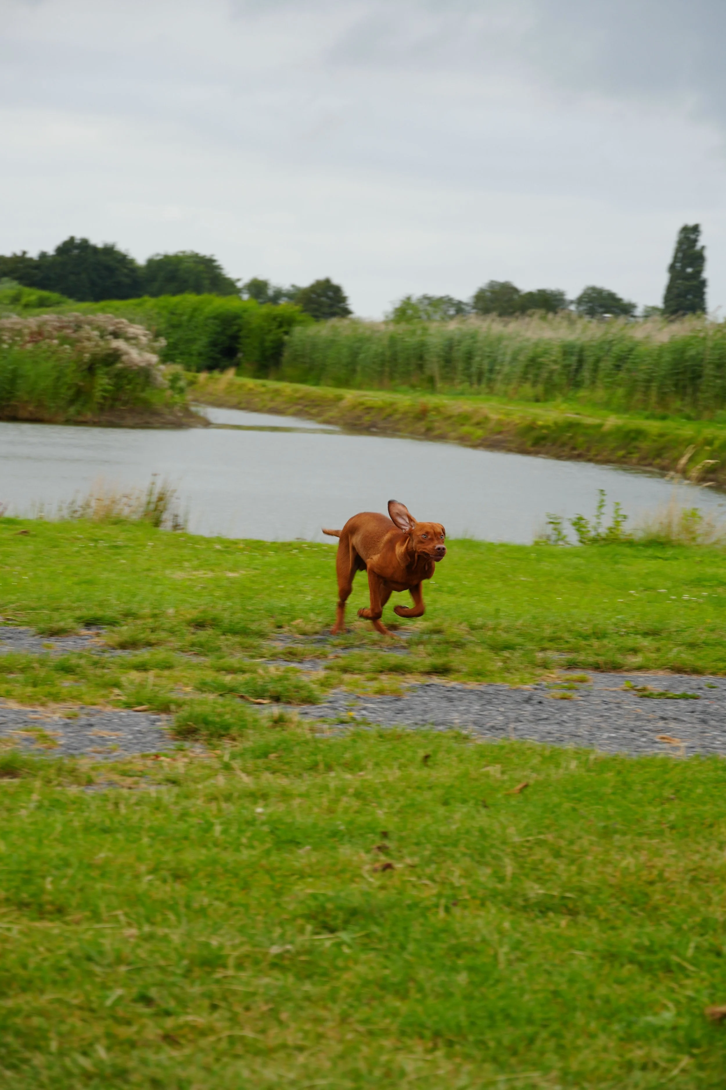 DSC08506.JPG
