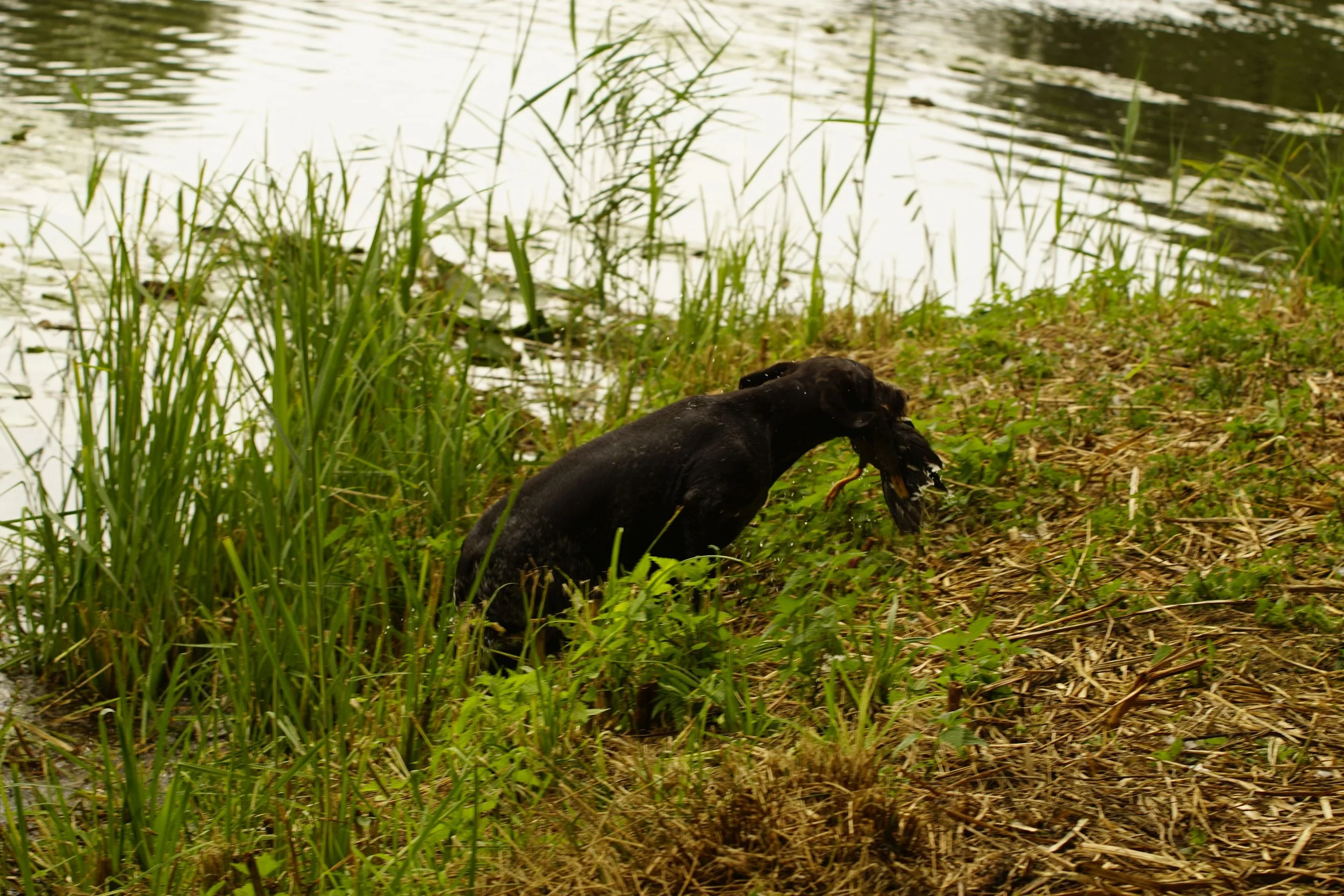 _DSC9751.JPG