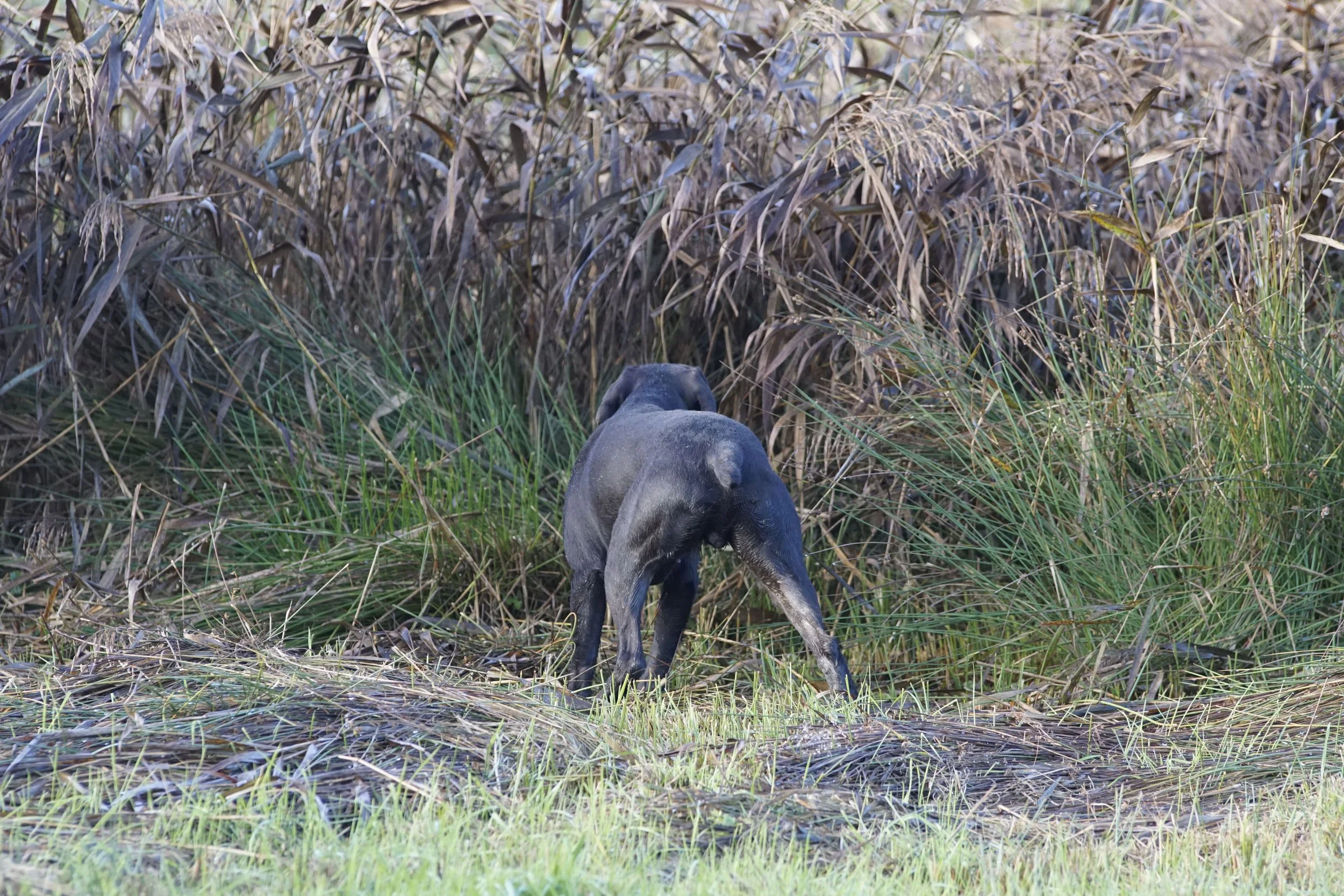 image7ii0575.jpg
