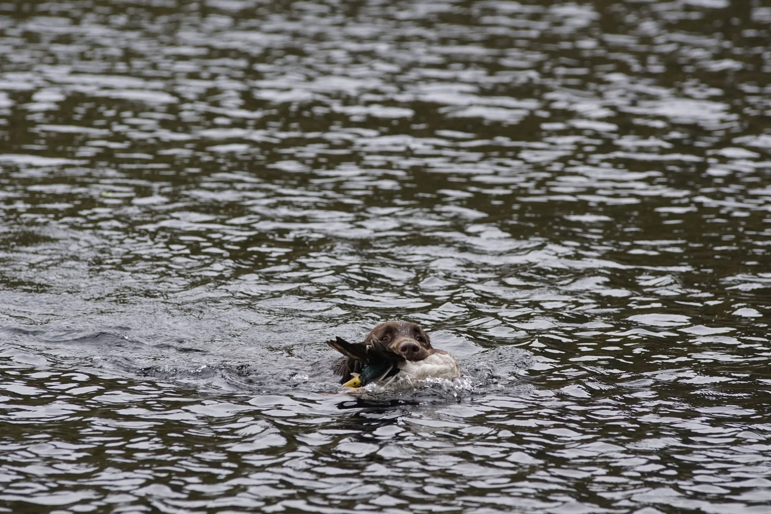 image7ii0123.jpg