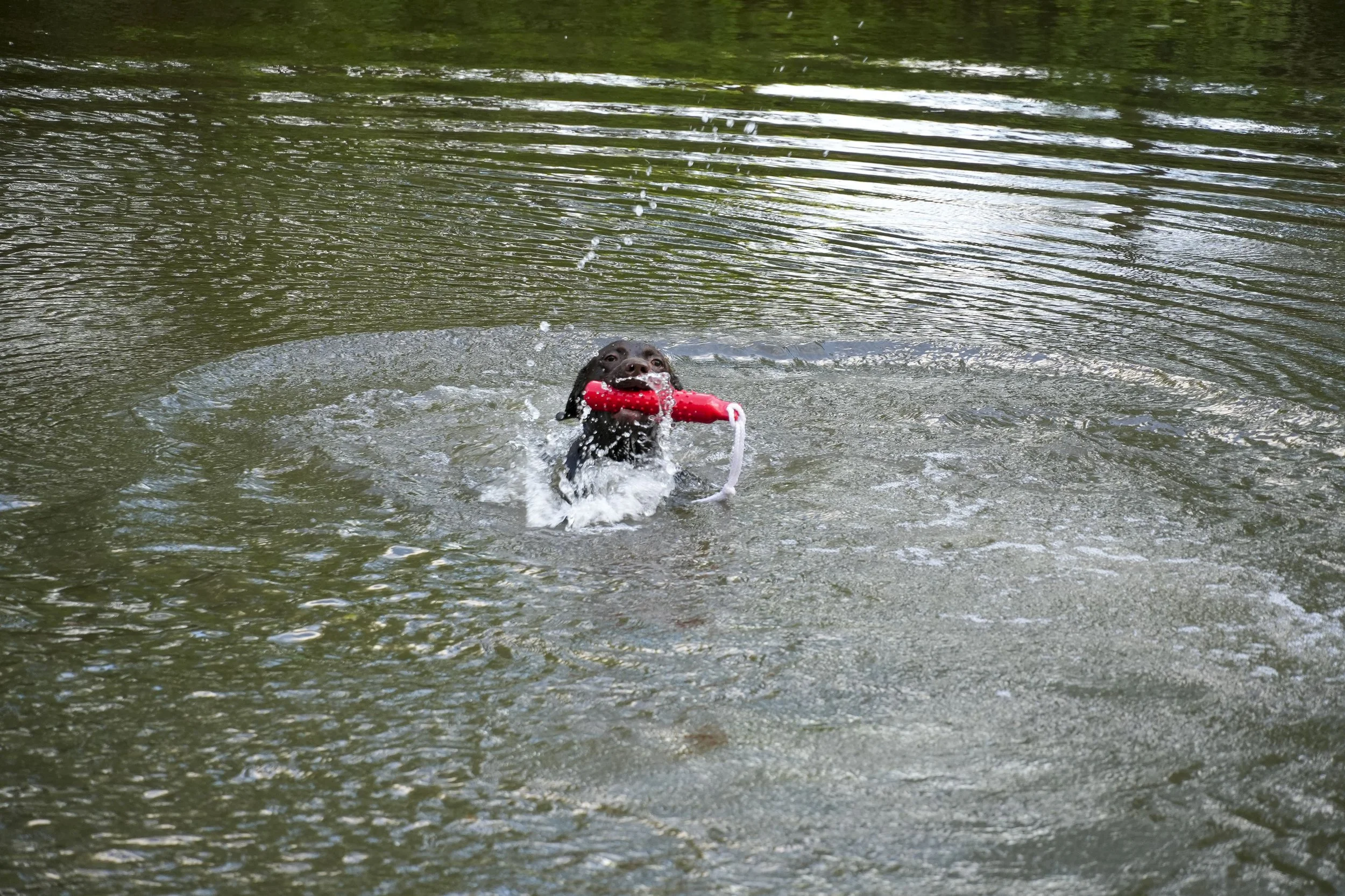 DSC01514.jpg