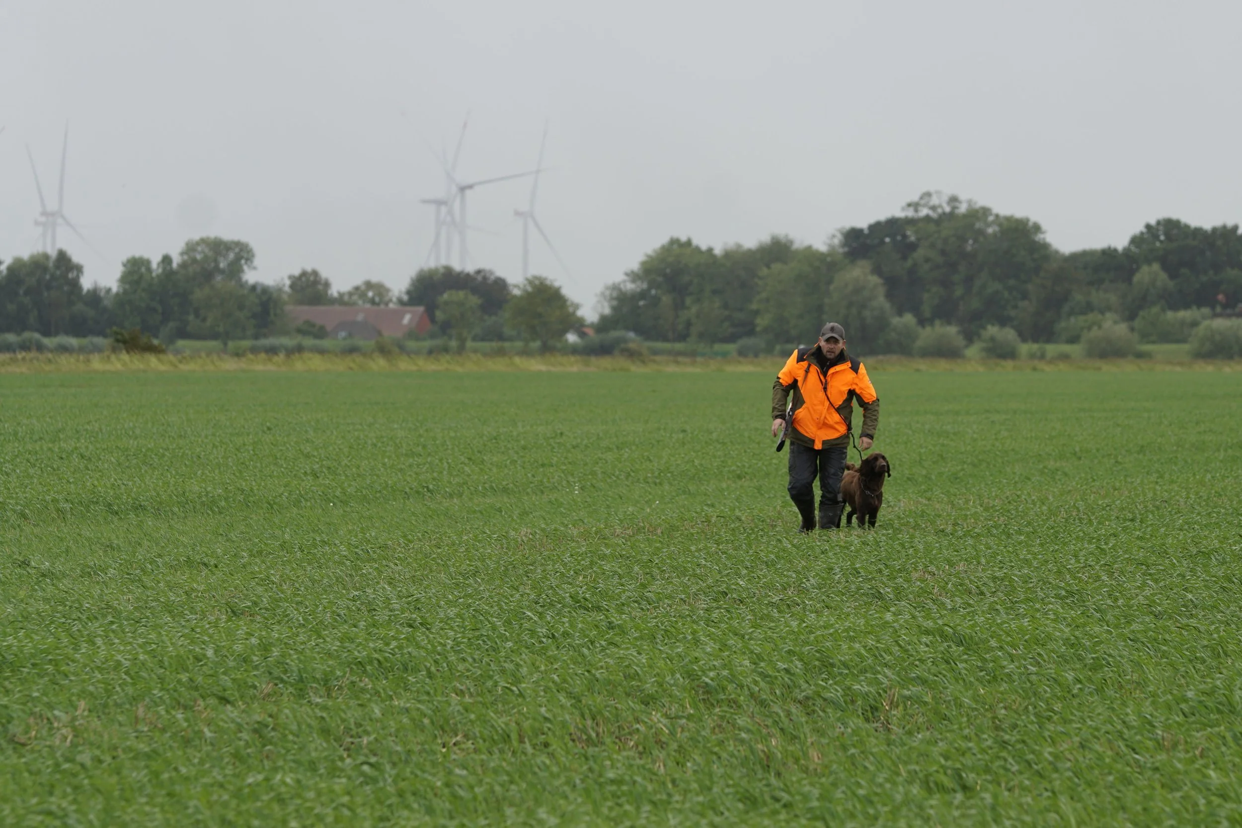 _DSC8062.JPG