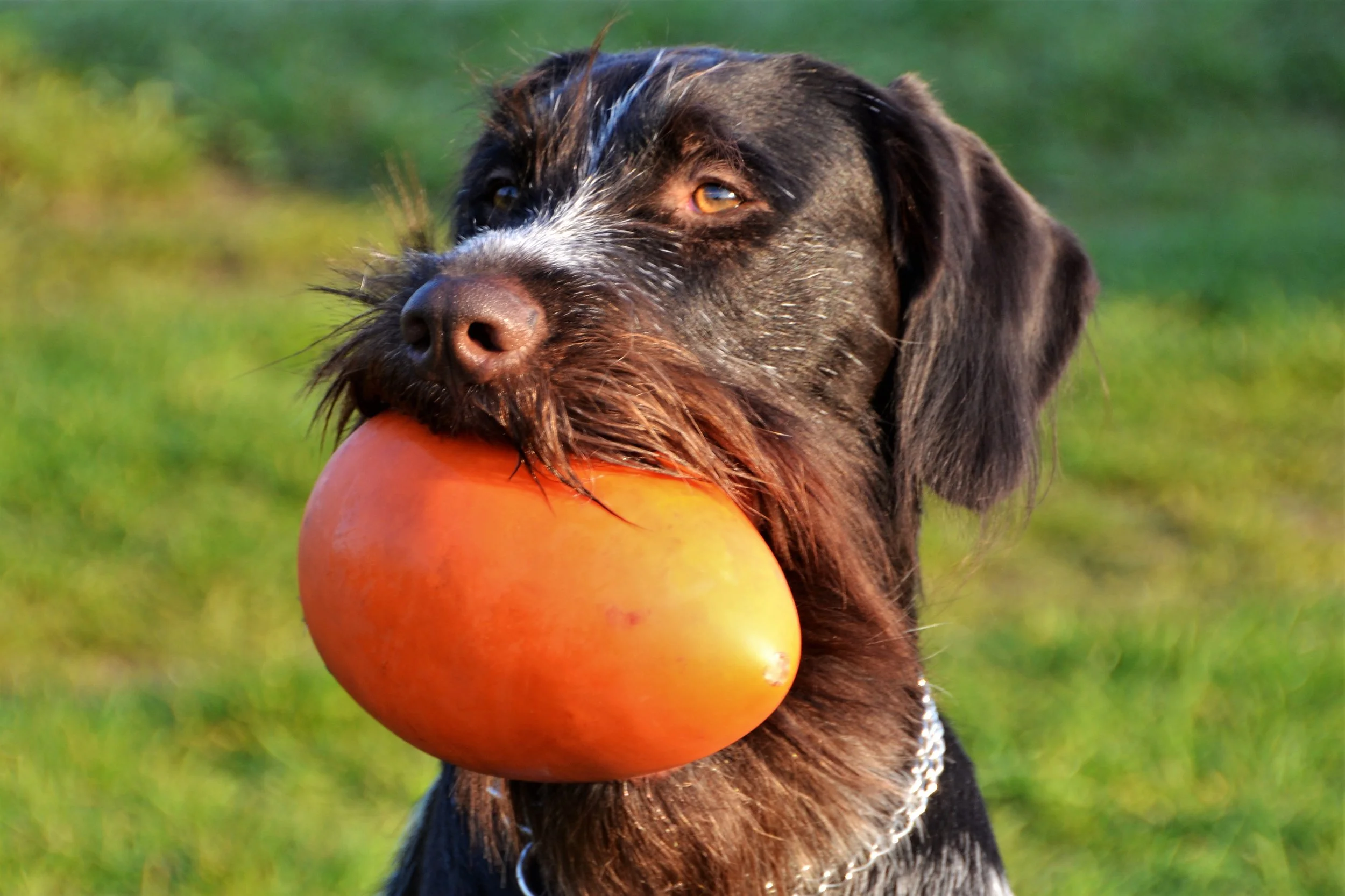 Besuch bei unserem Lehrgang in Eilendorf